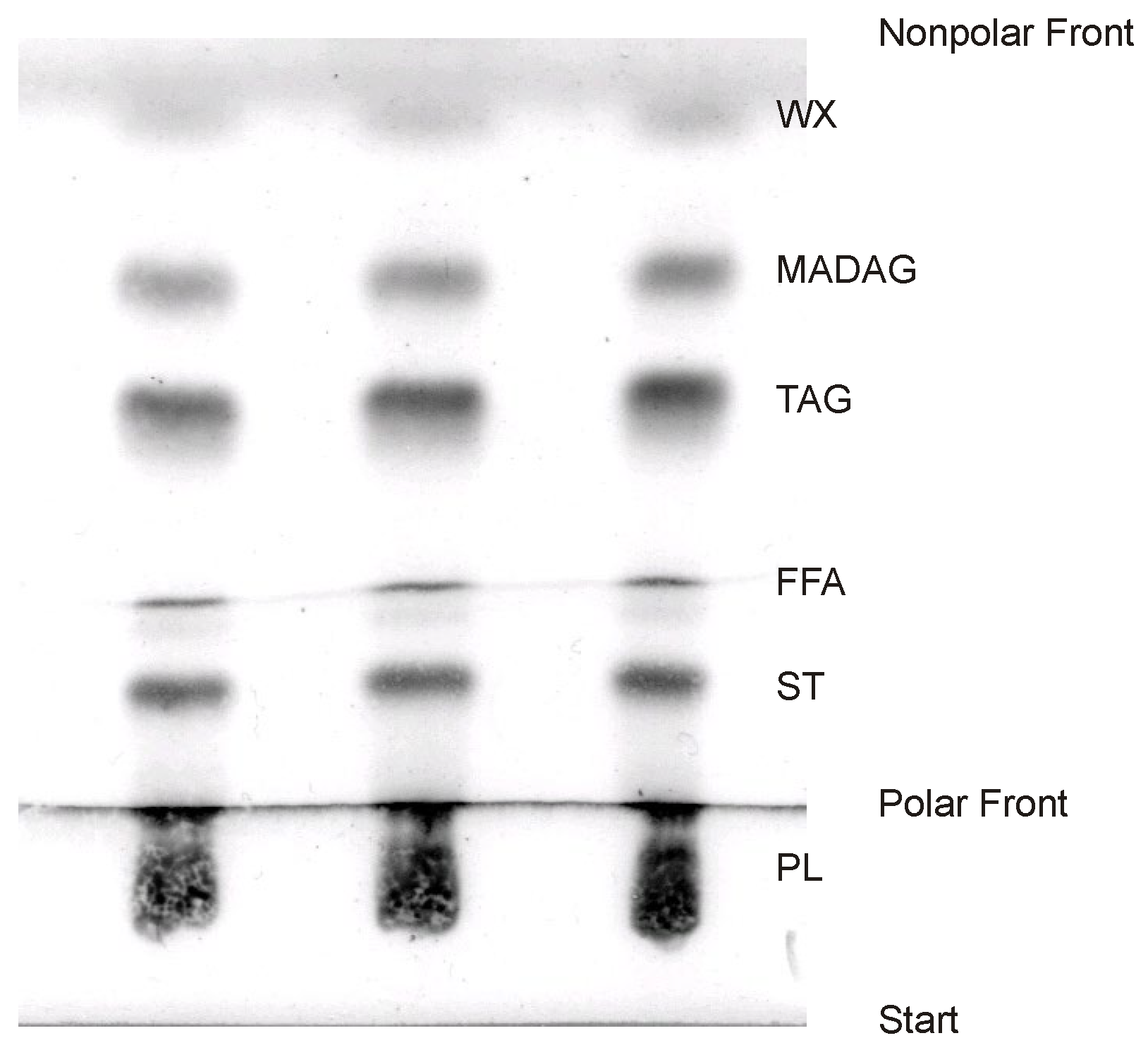 Marinedrugs 21 00539 g005