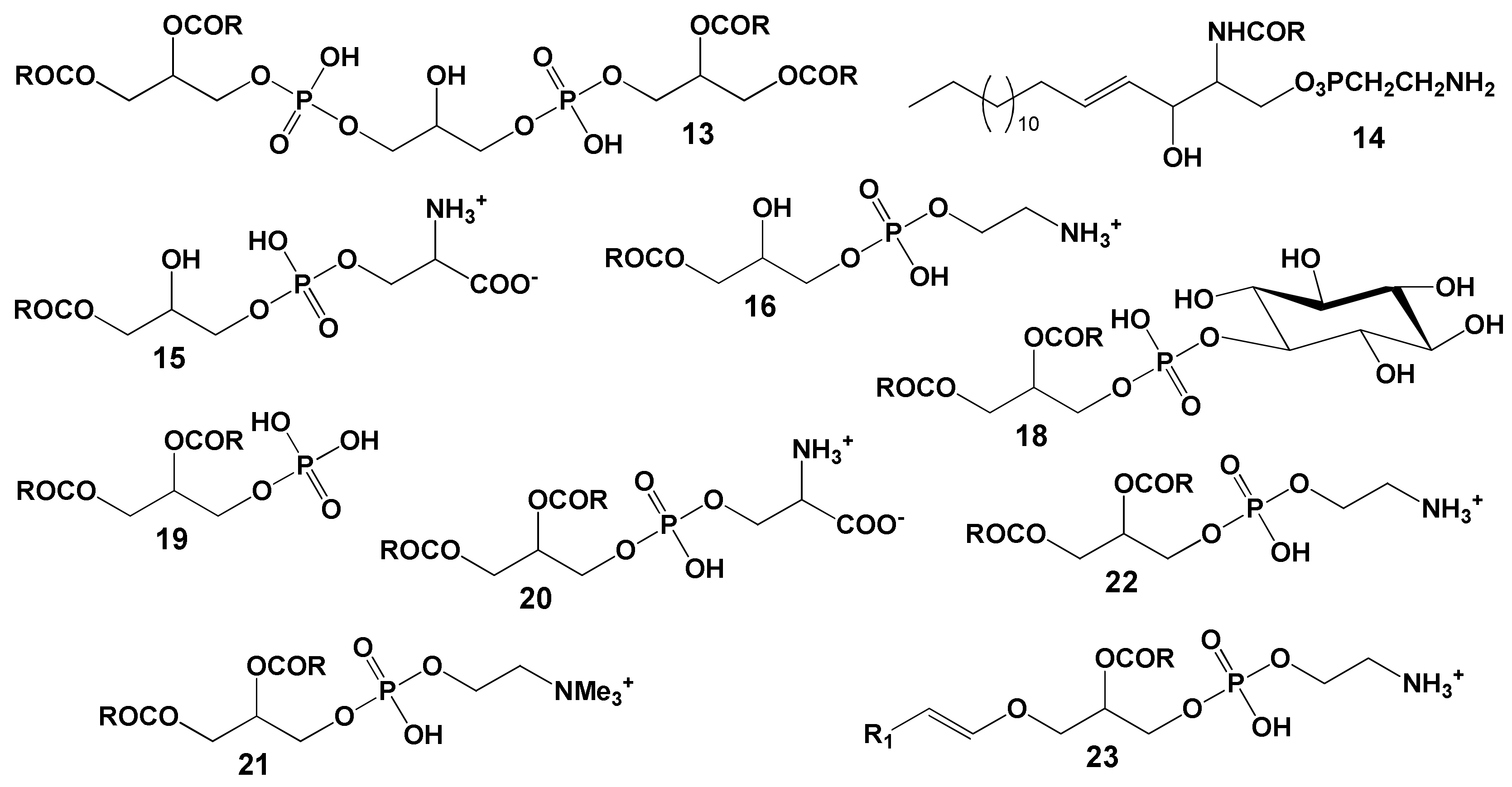 Marinedrugs 21 00539 g011