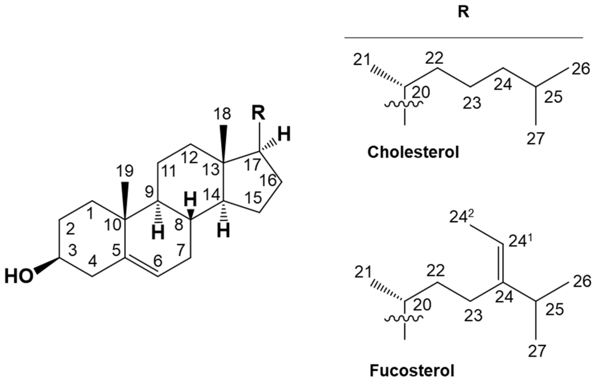 Marinedrugs 21 00540 g001