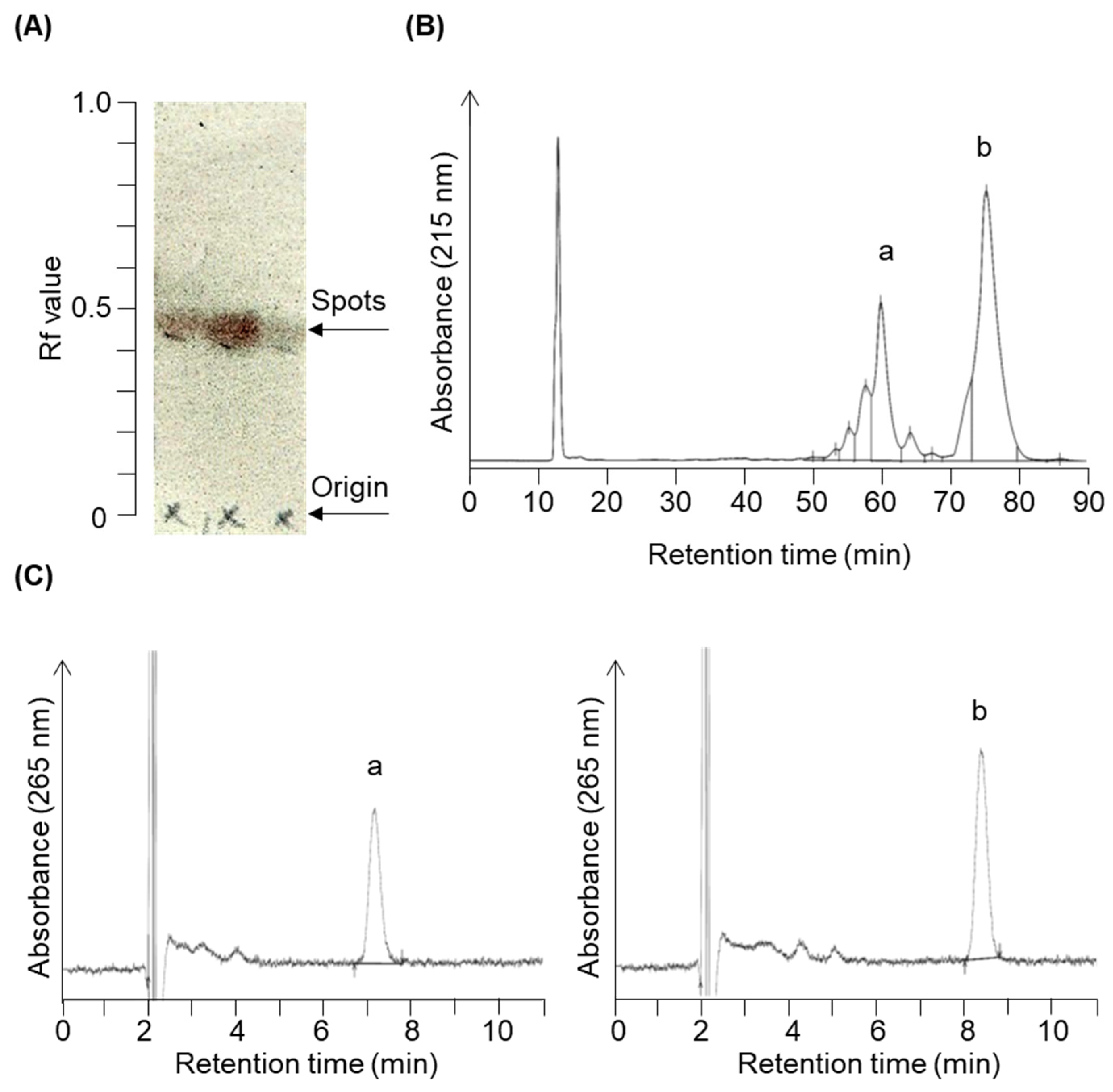Marinedrugs 21 00540 g002