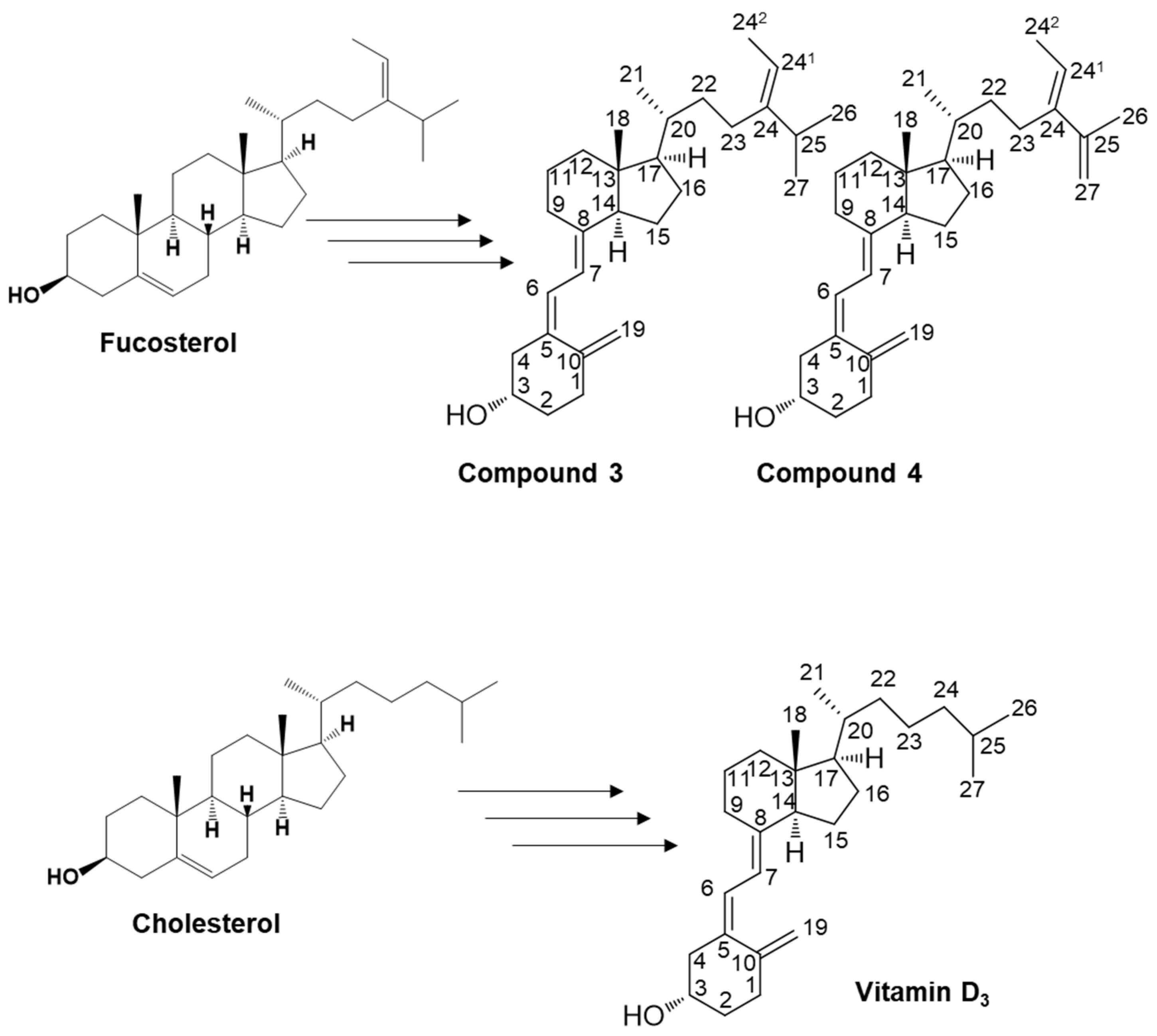 Marinedrugs 21 00540 g003