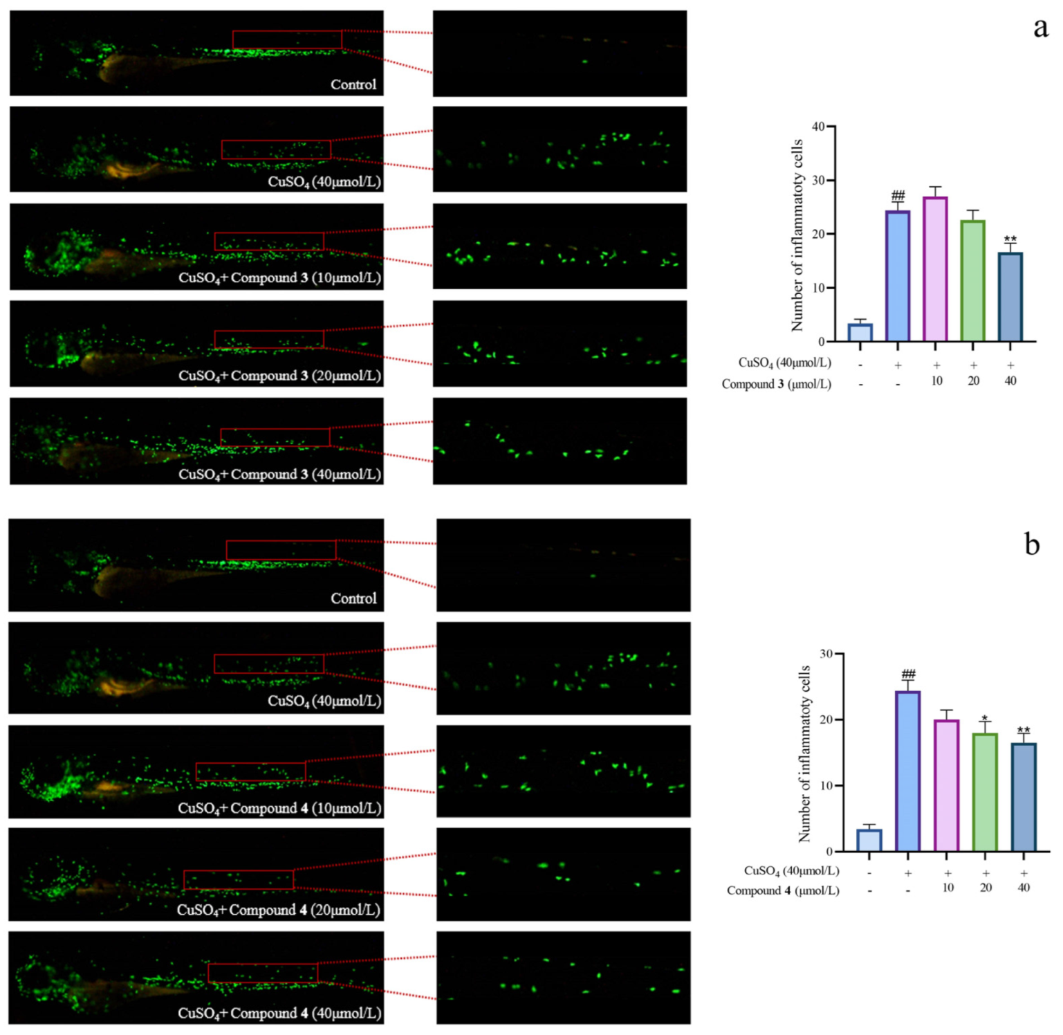 Marinedrugs 21 00541 g006a