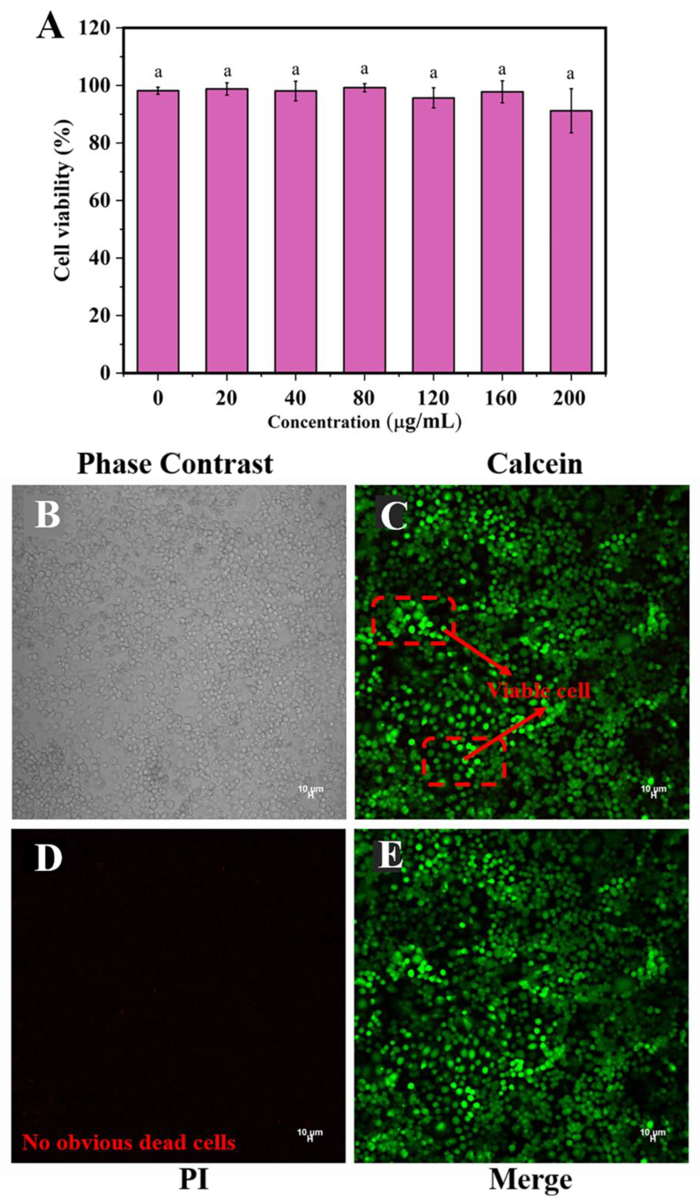 Marinedrugs 21 00546 g005