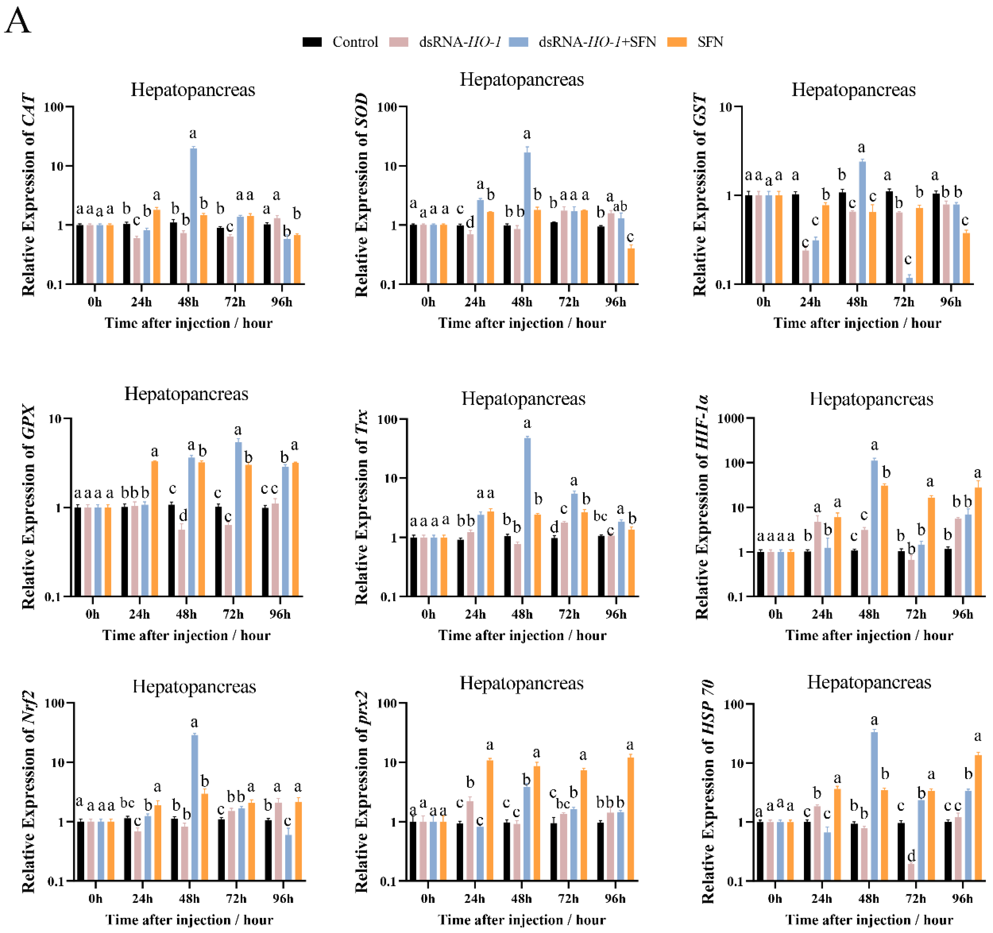 Marinedrugs 21 00548 g003a