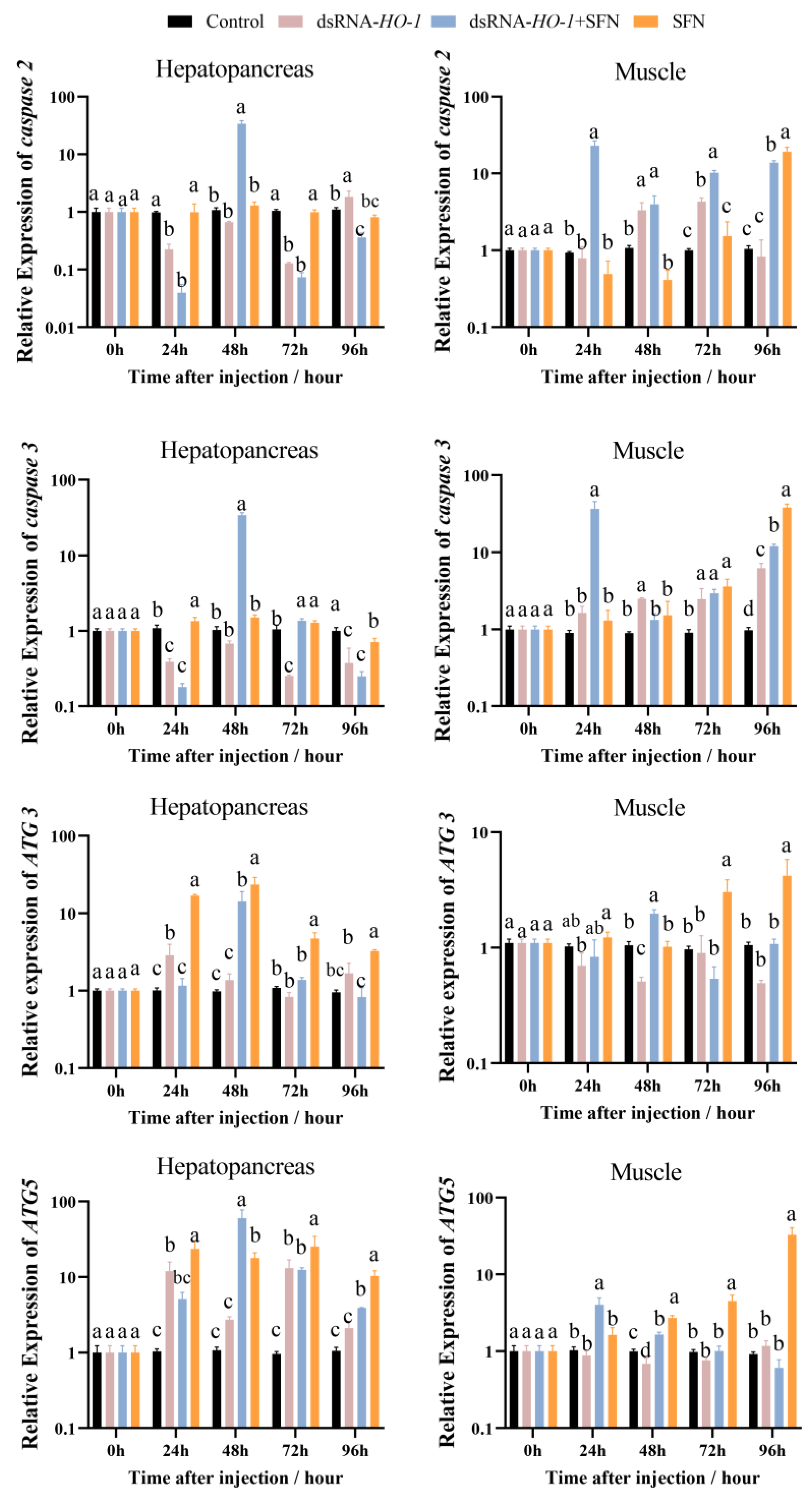 Marinedrugs 21 00548 g004