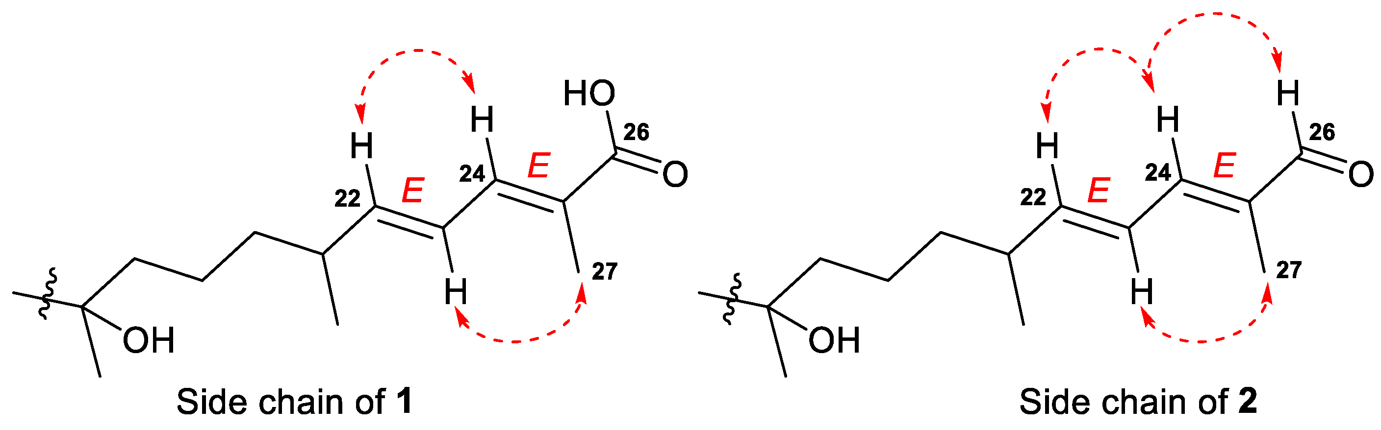 Marinedrugs 21 00554 g003