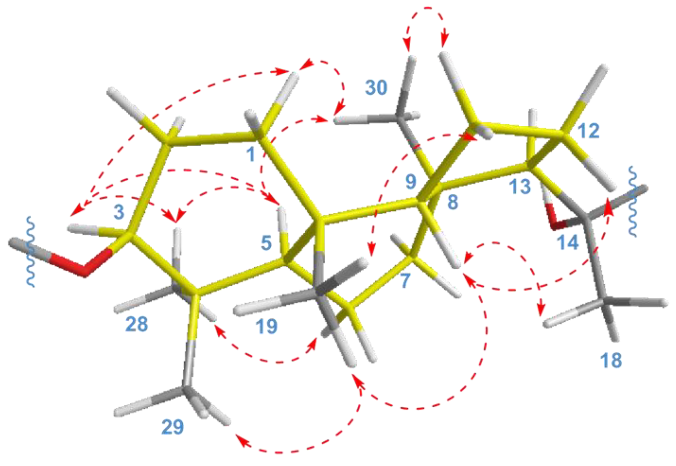 Marinedrugs 21 00554 g004