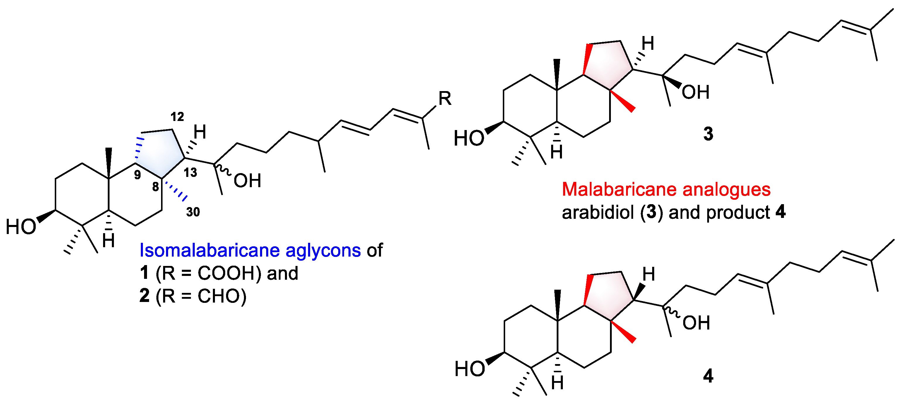 Marinedrugs 21 00554 g008