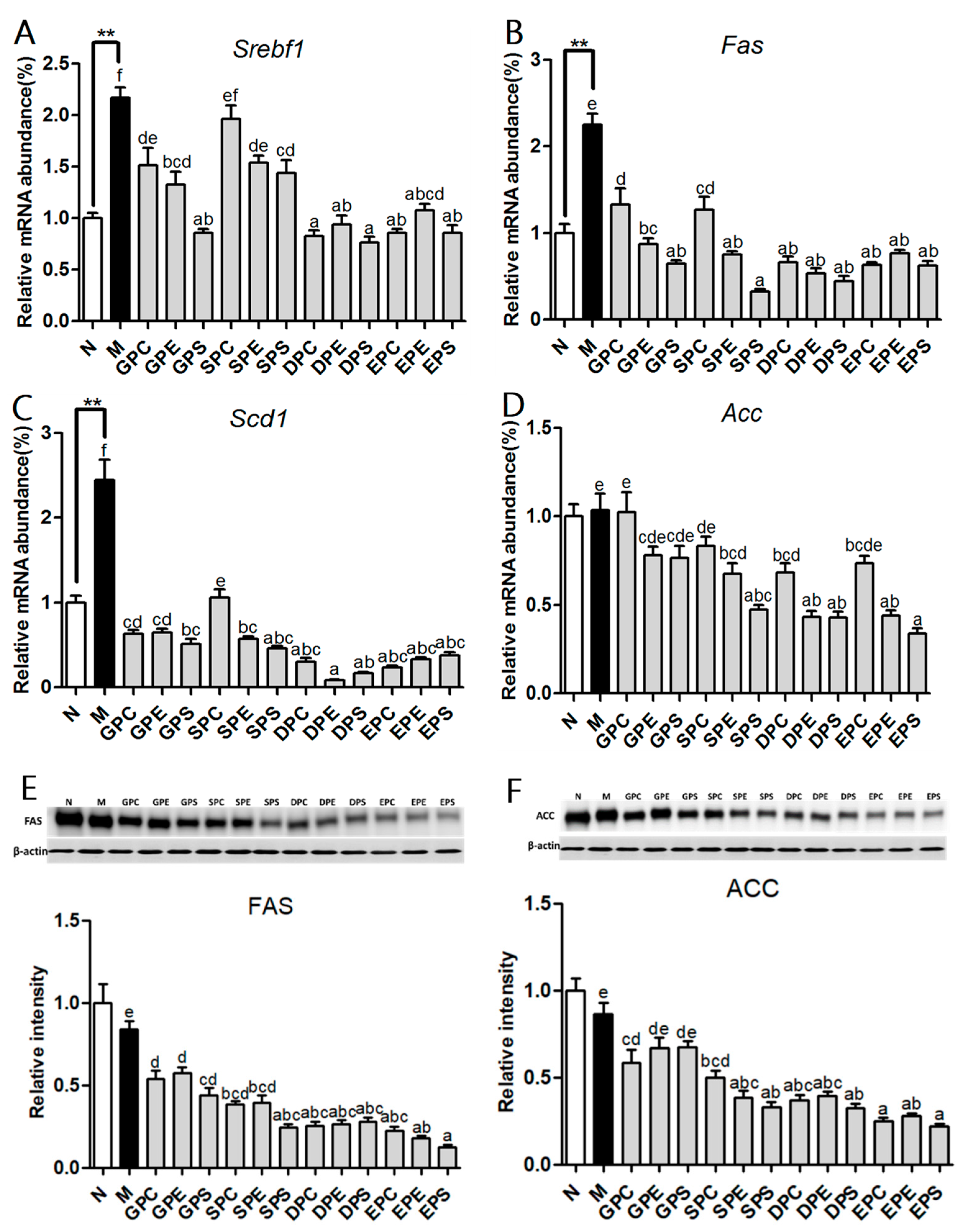 Marinedrugs 21 00555 g006