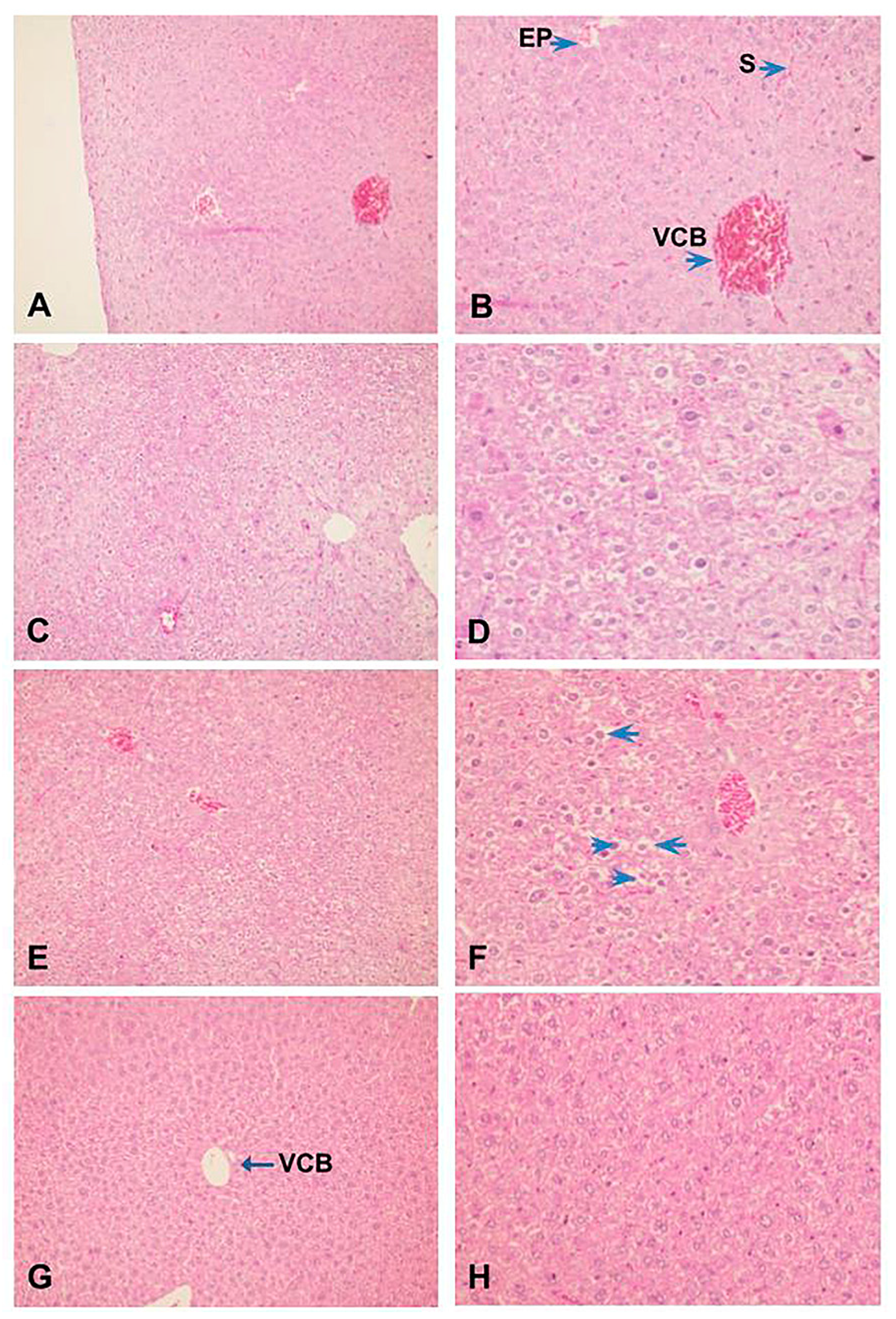Marinedrugs 21 00557 g006