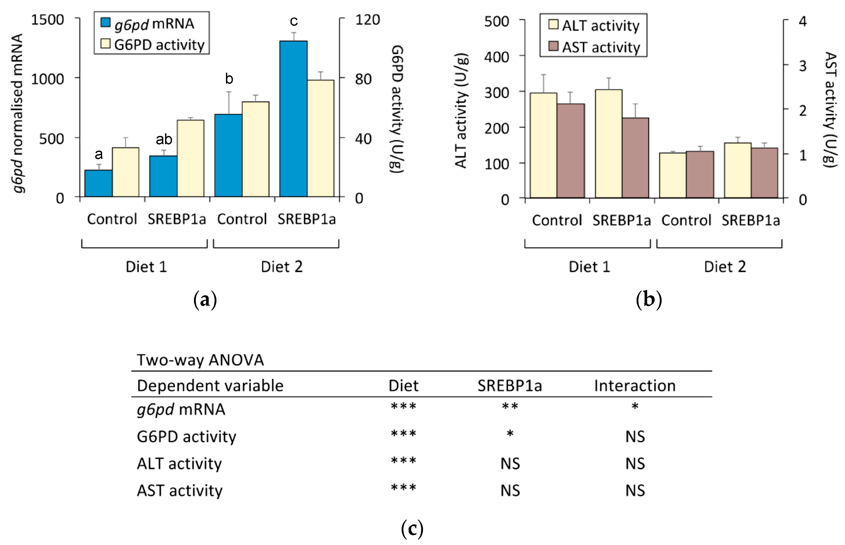 Marinedrugs 21 00562 g006
