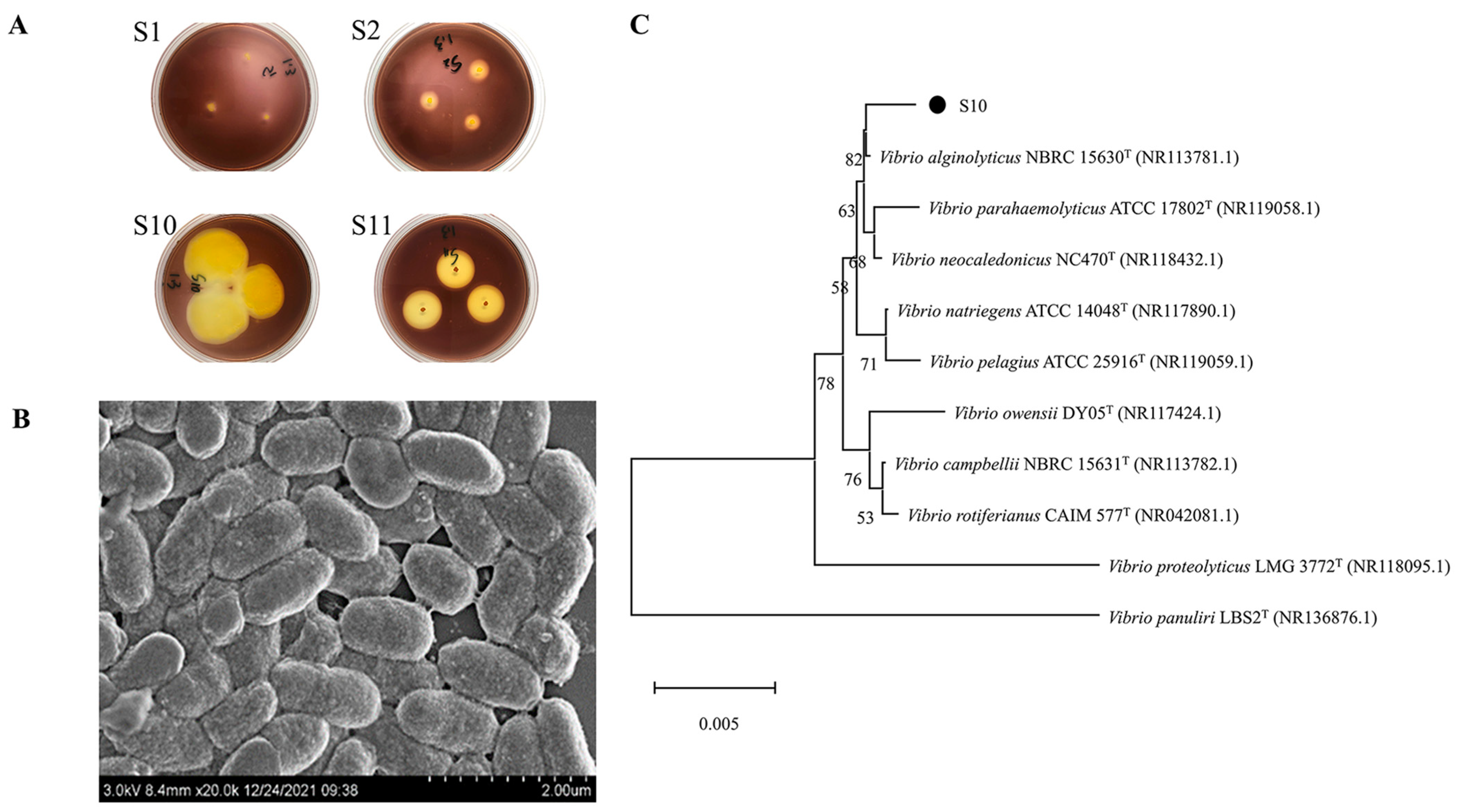 Marinedrugs 21 00564 g001