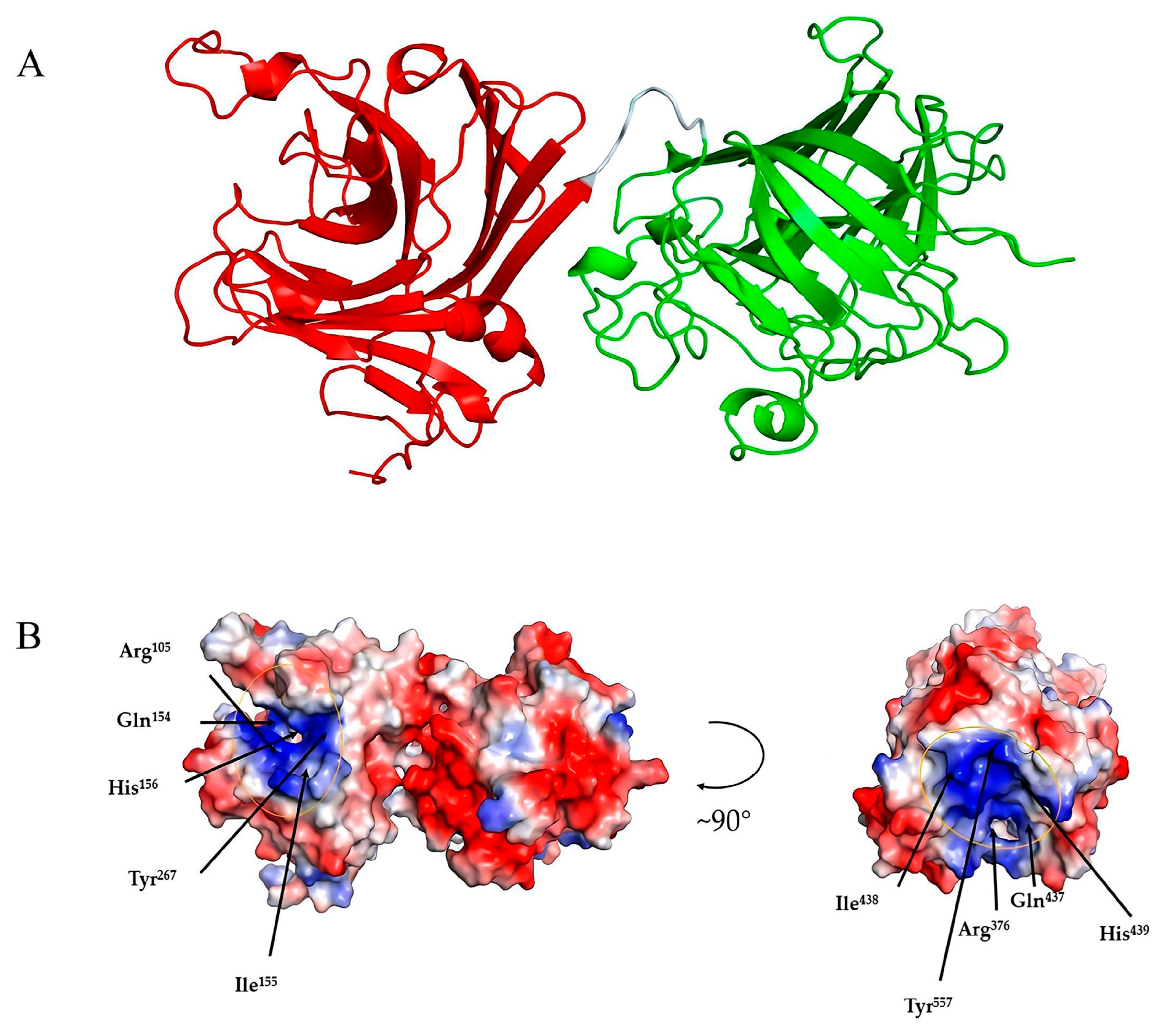 Marinedrugs 21 00564 g008