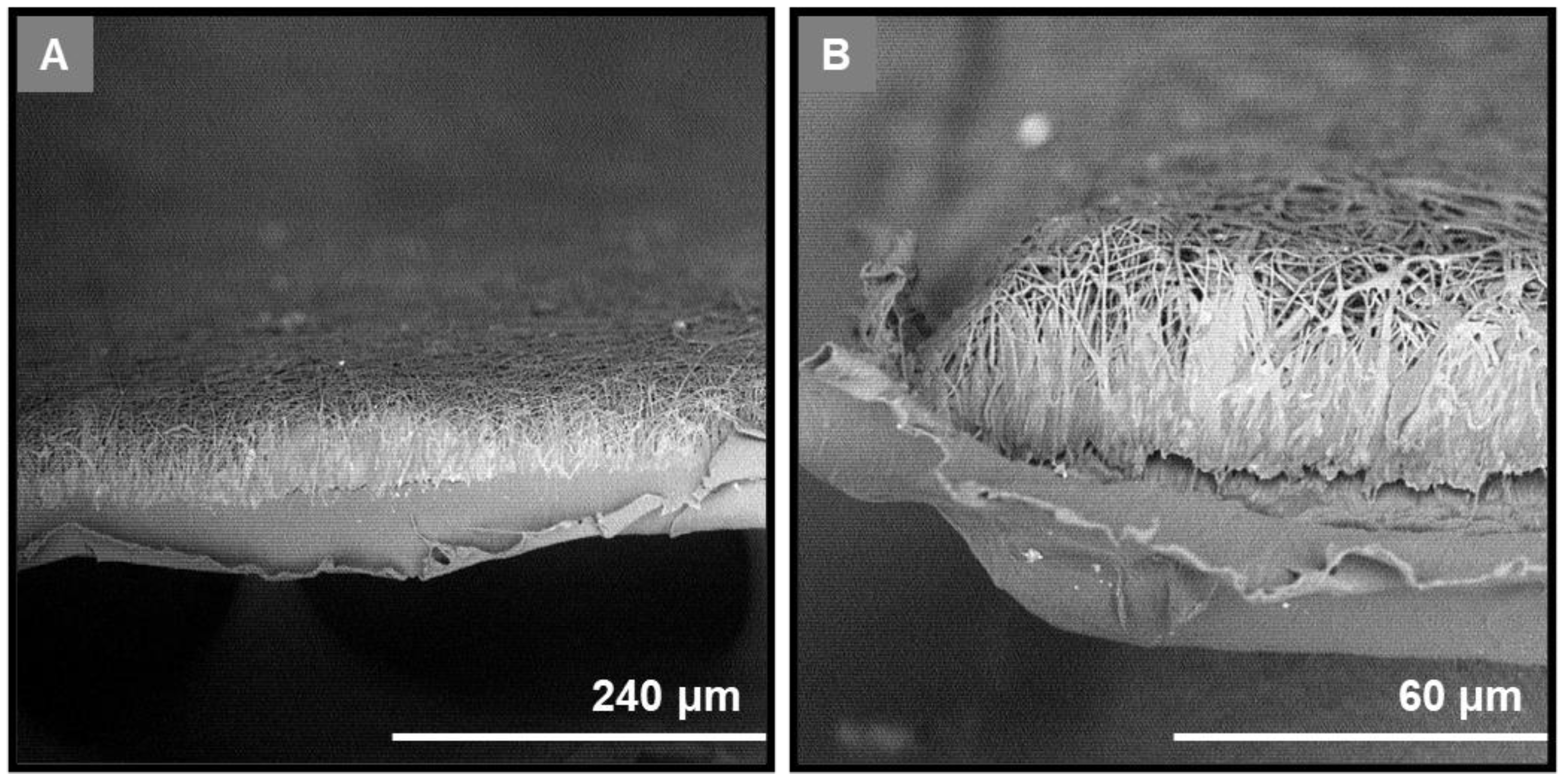 Marinedrugs 21 00565 g001