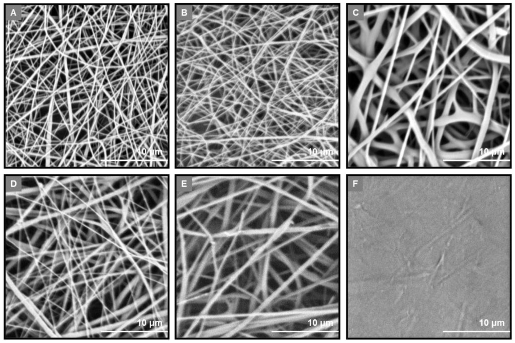 Marinedrugs 21 00565 g002