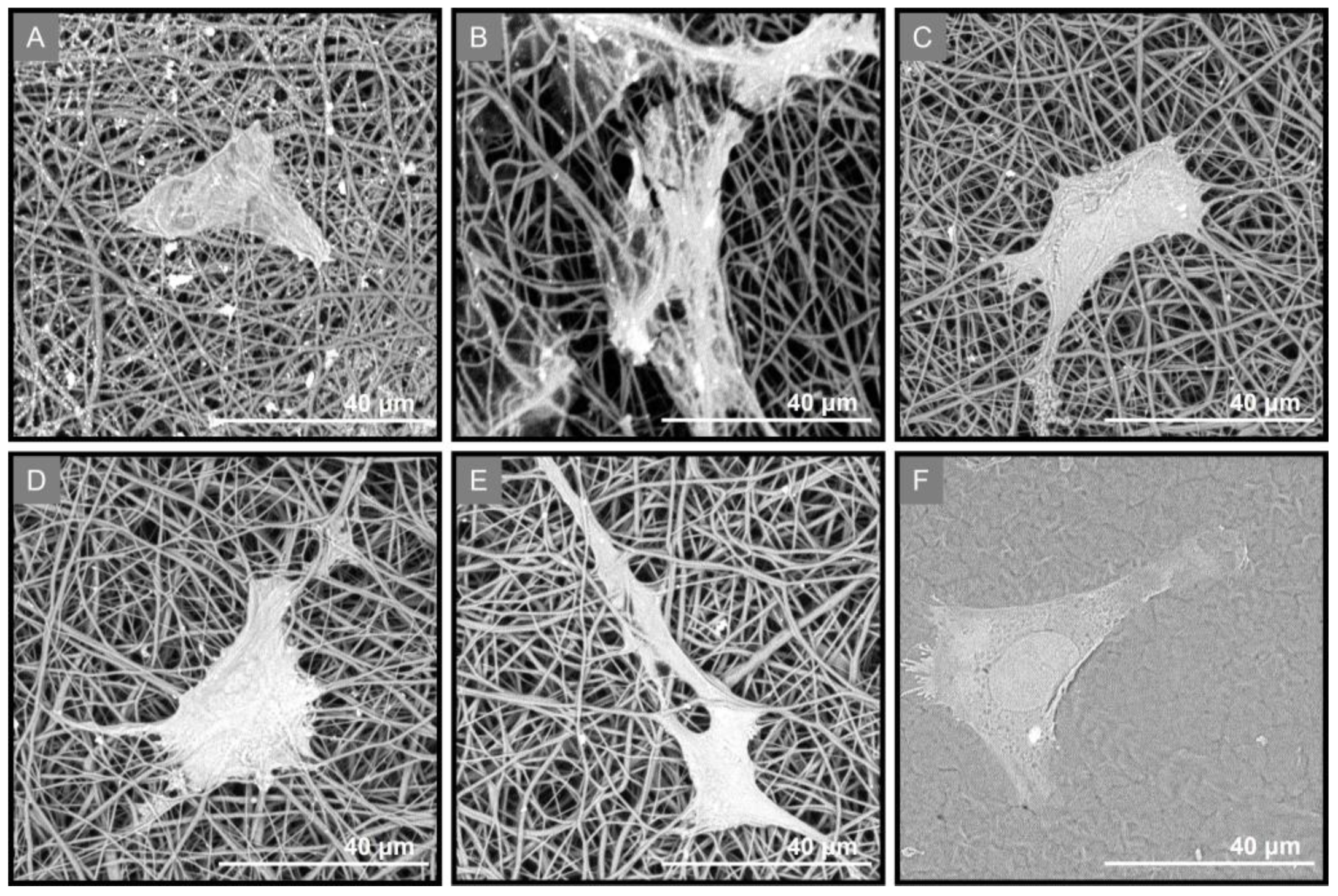 Marinedrugs 21 00565 g009