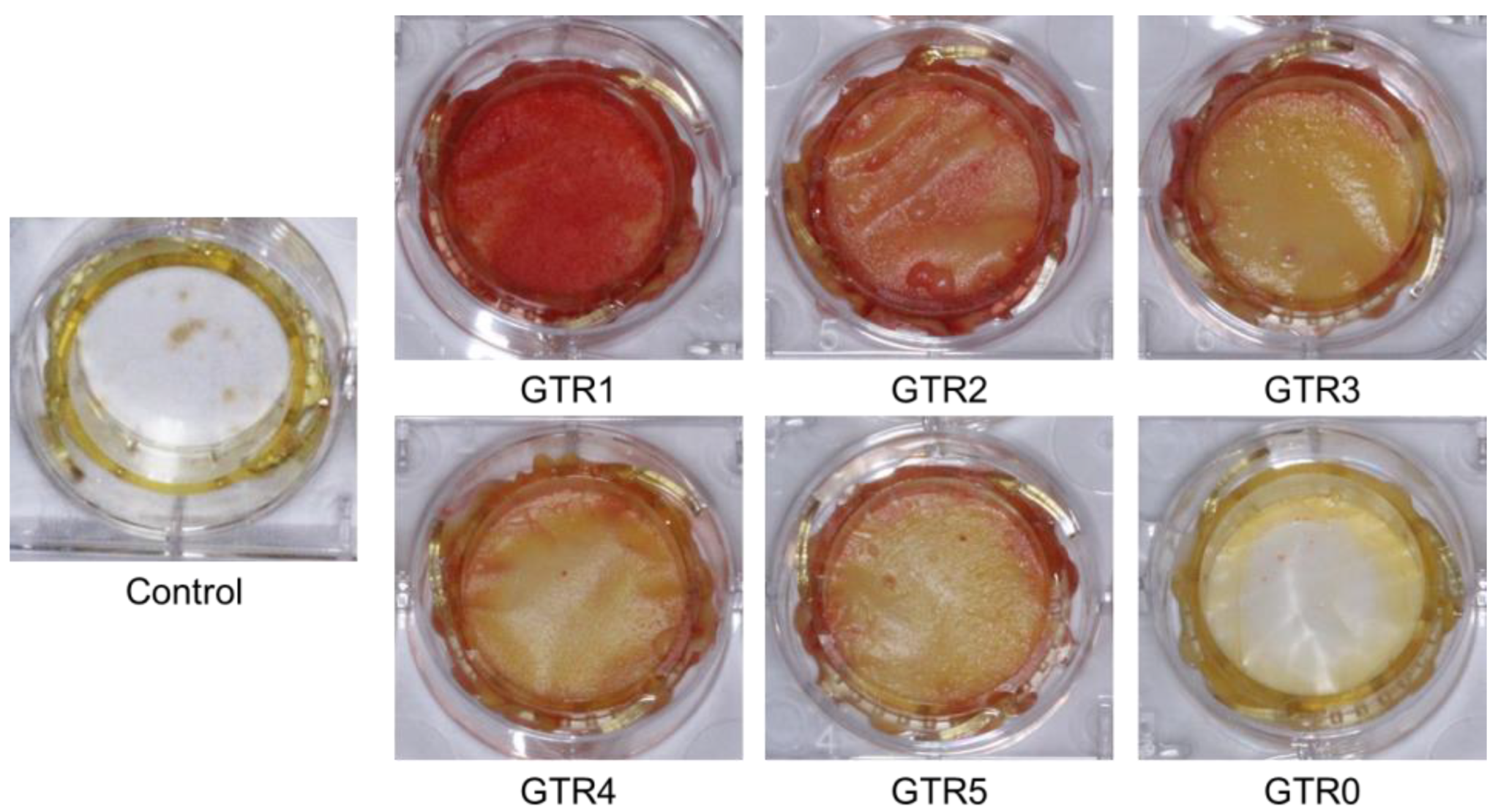 Marinedrugs 21 00565 g010