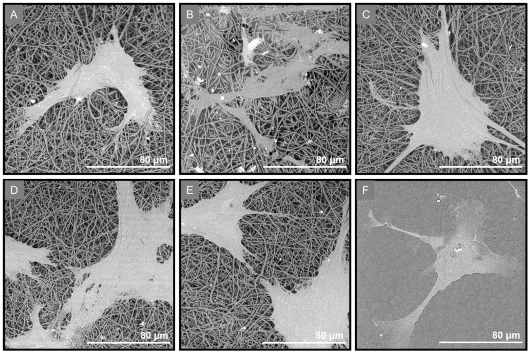 Marinedrugs 21 00565 g011