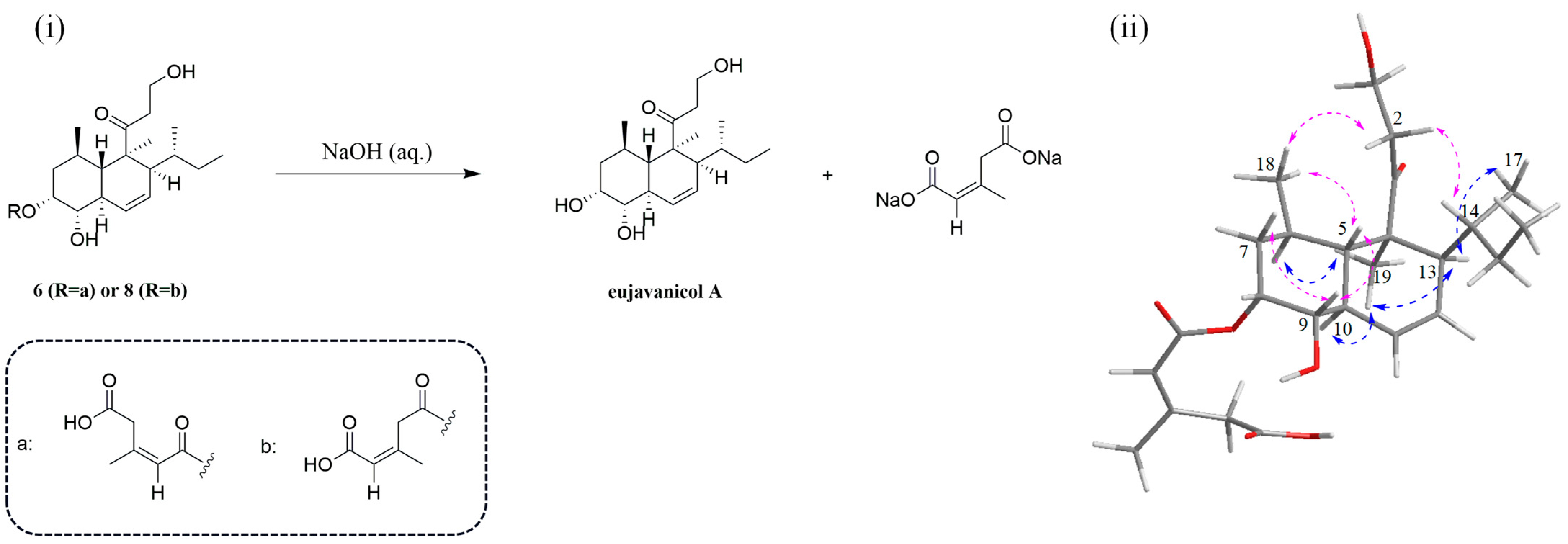 Marinedrugs 21 00566 g004