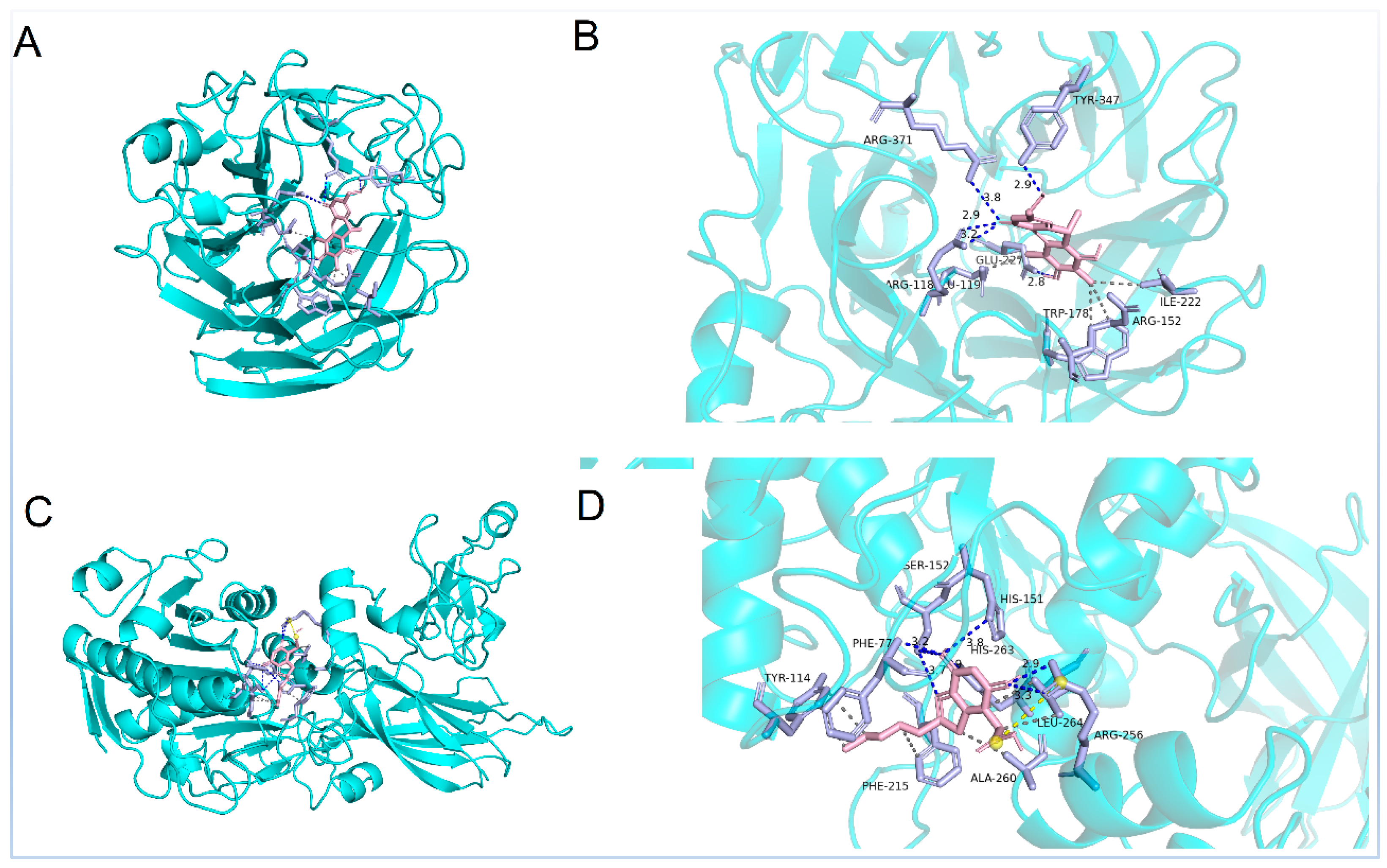 Marinedrugs 21 00567 g006