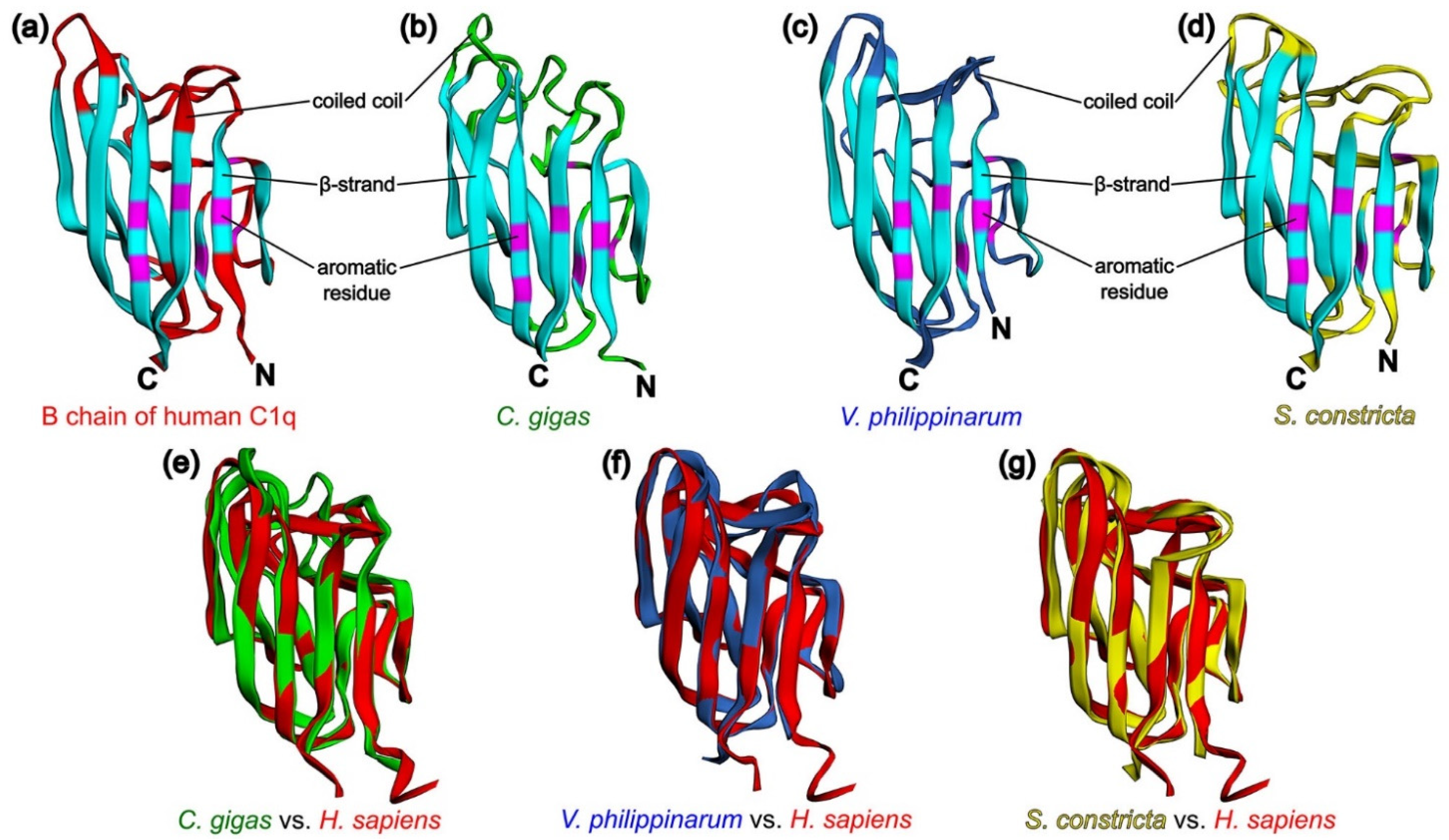 Marinedrugs 21 00570 g003