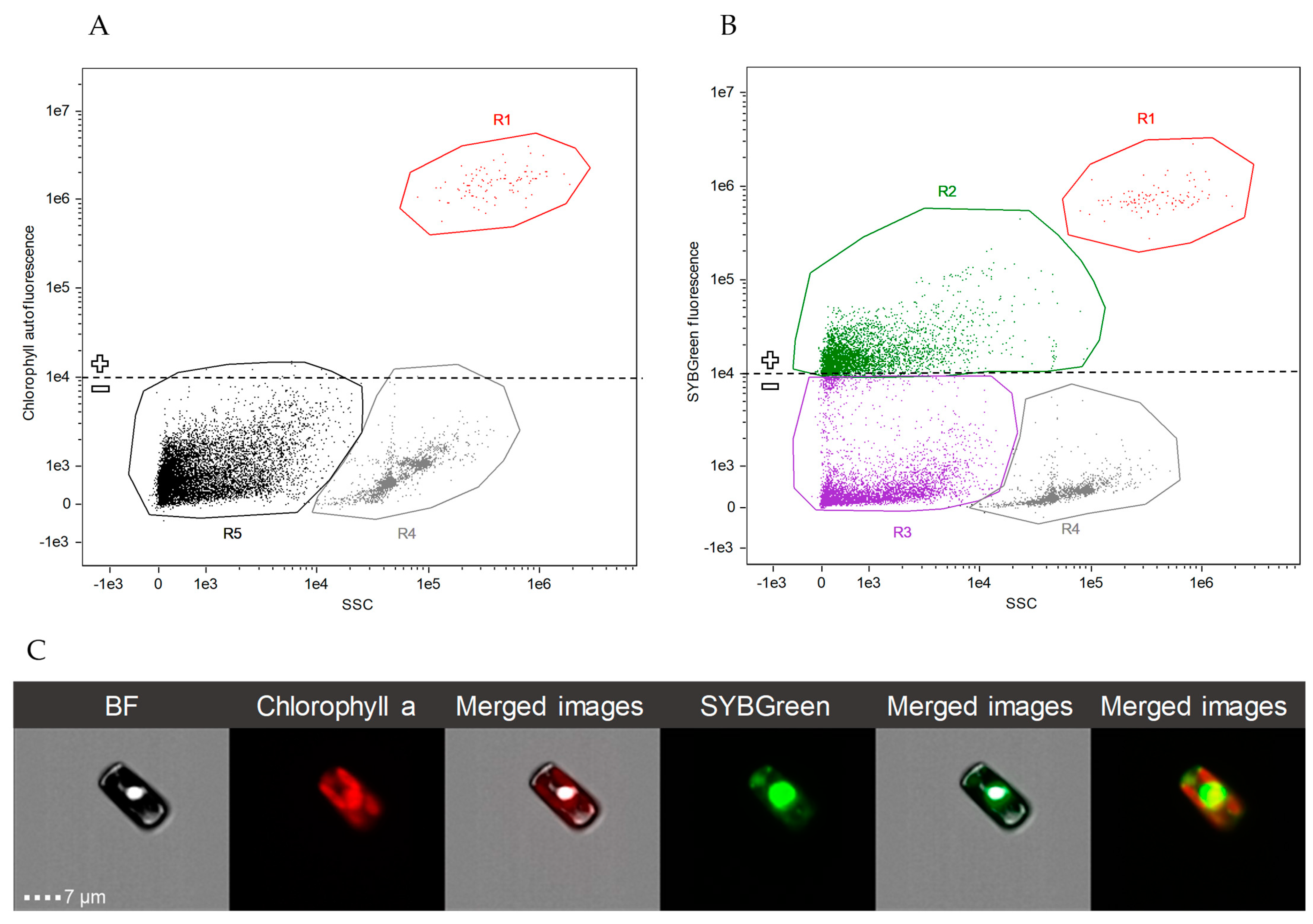 Marinedrugs 21 00571 g007