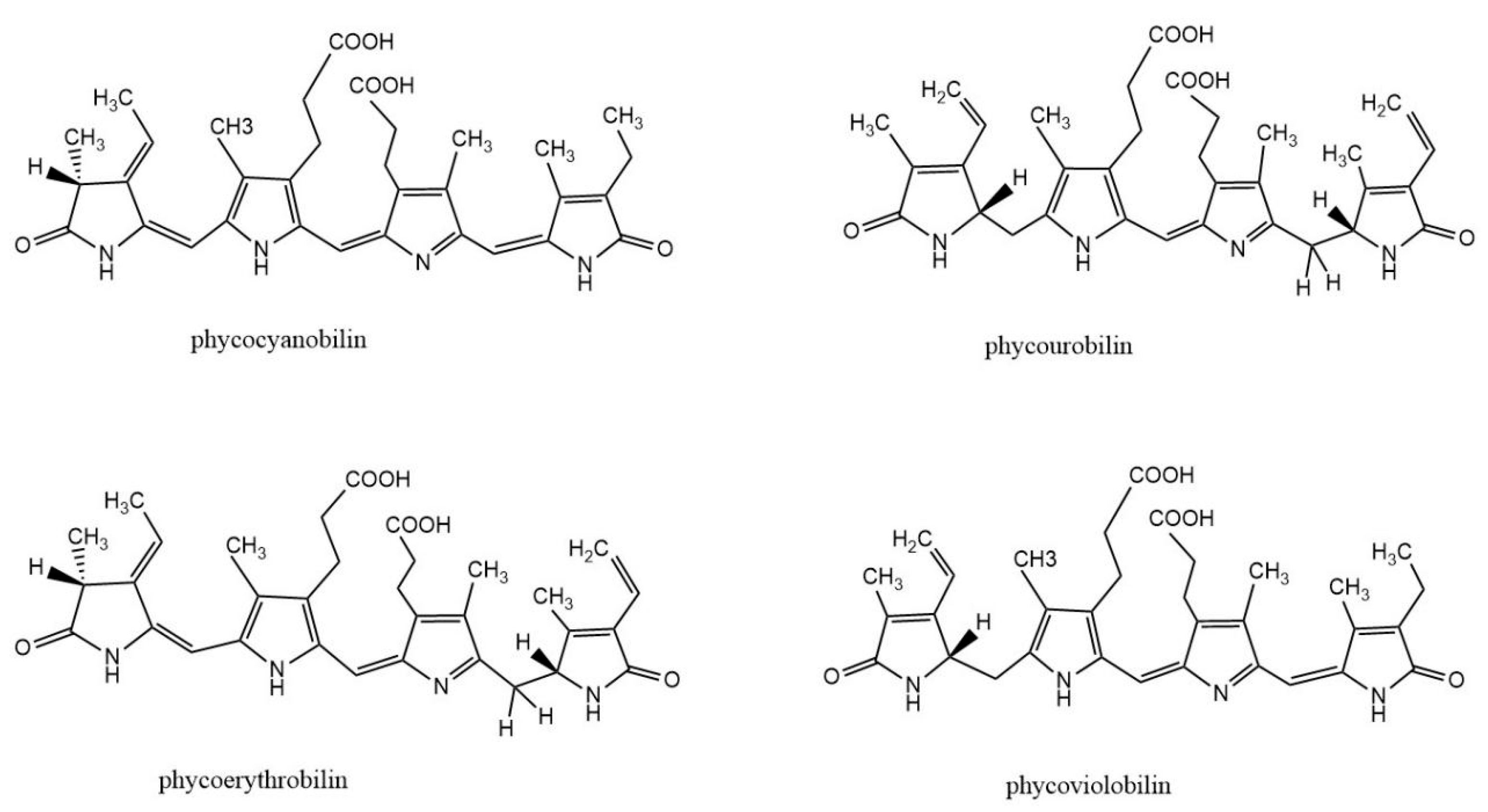Marinedrugs 21 00572 g001