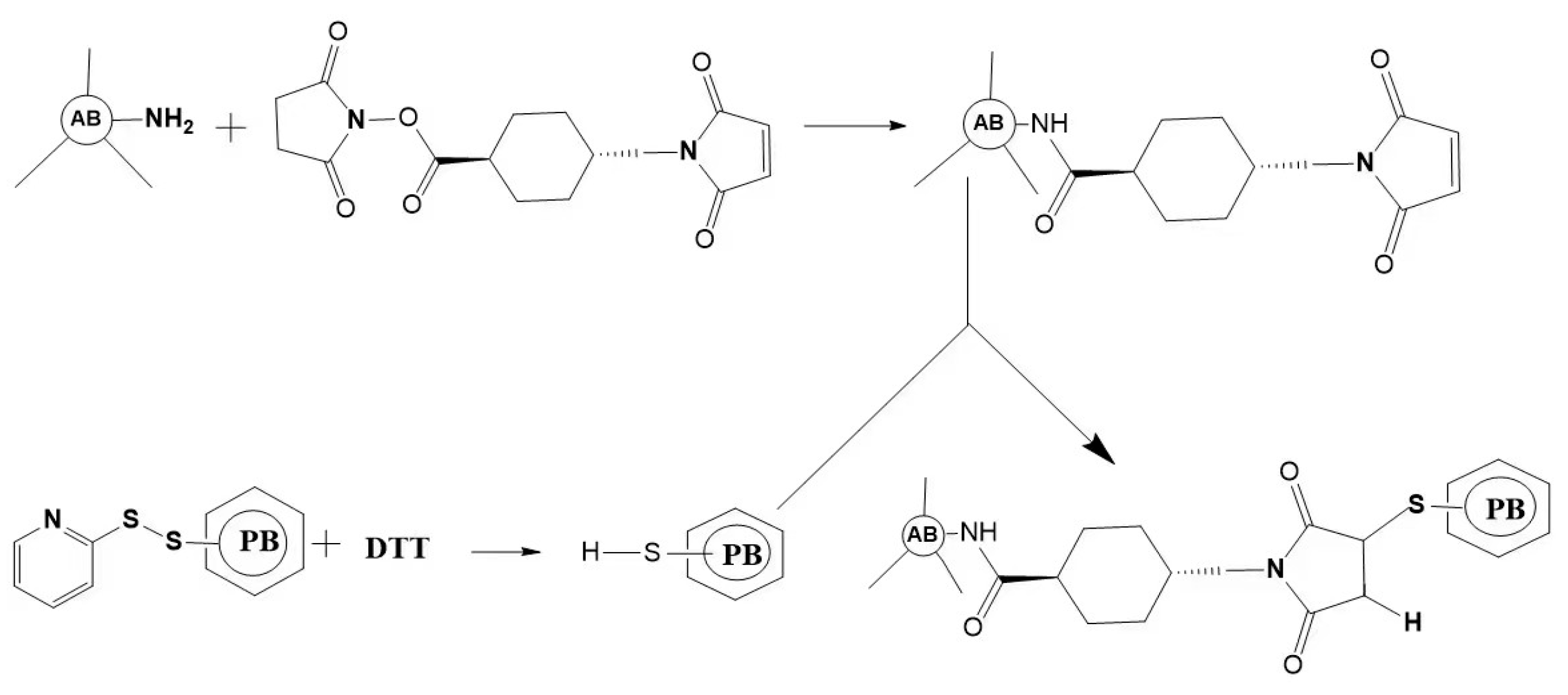 Marinedrugs 21 00572 g004