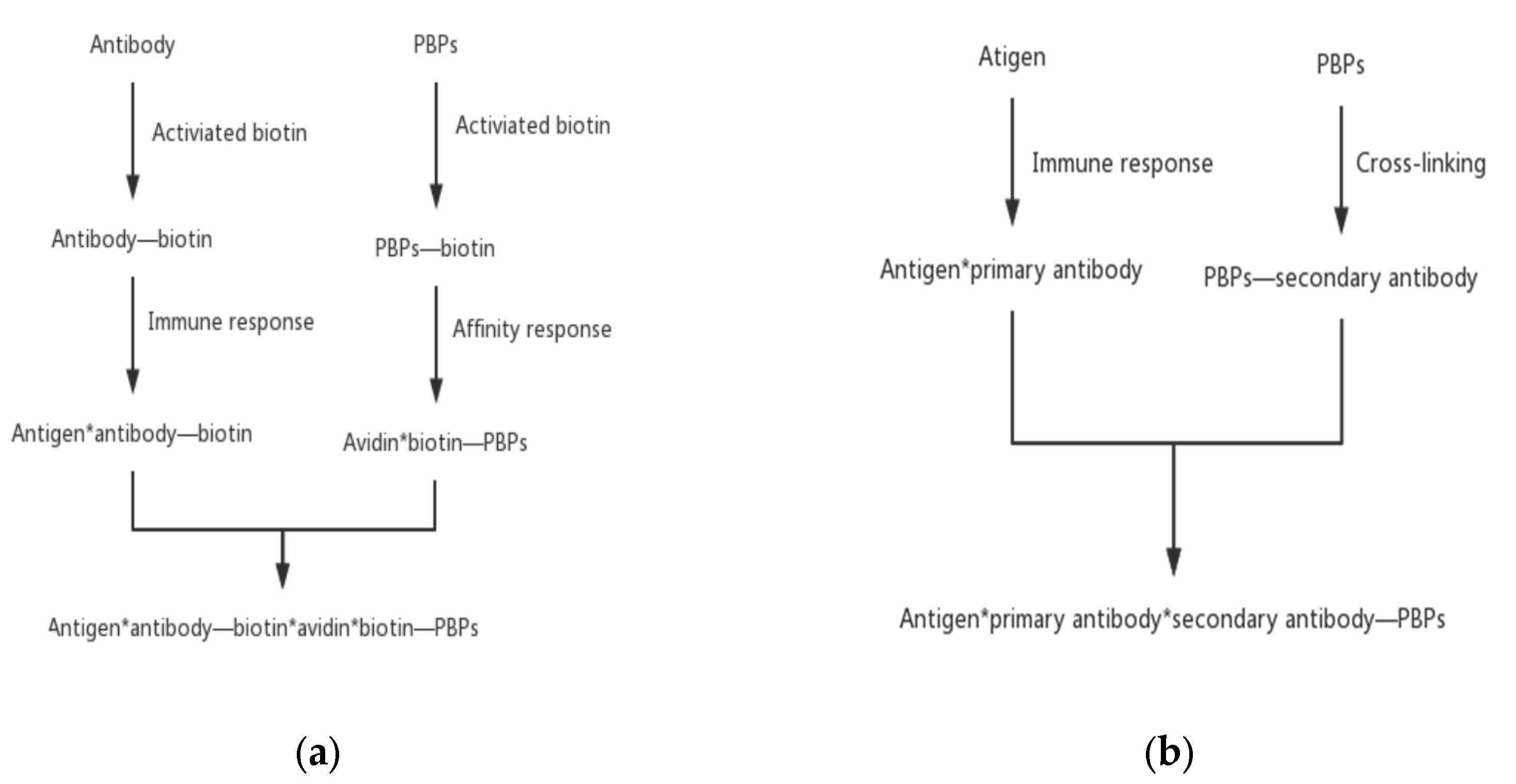 Marinedrugs 21 00572 g005