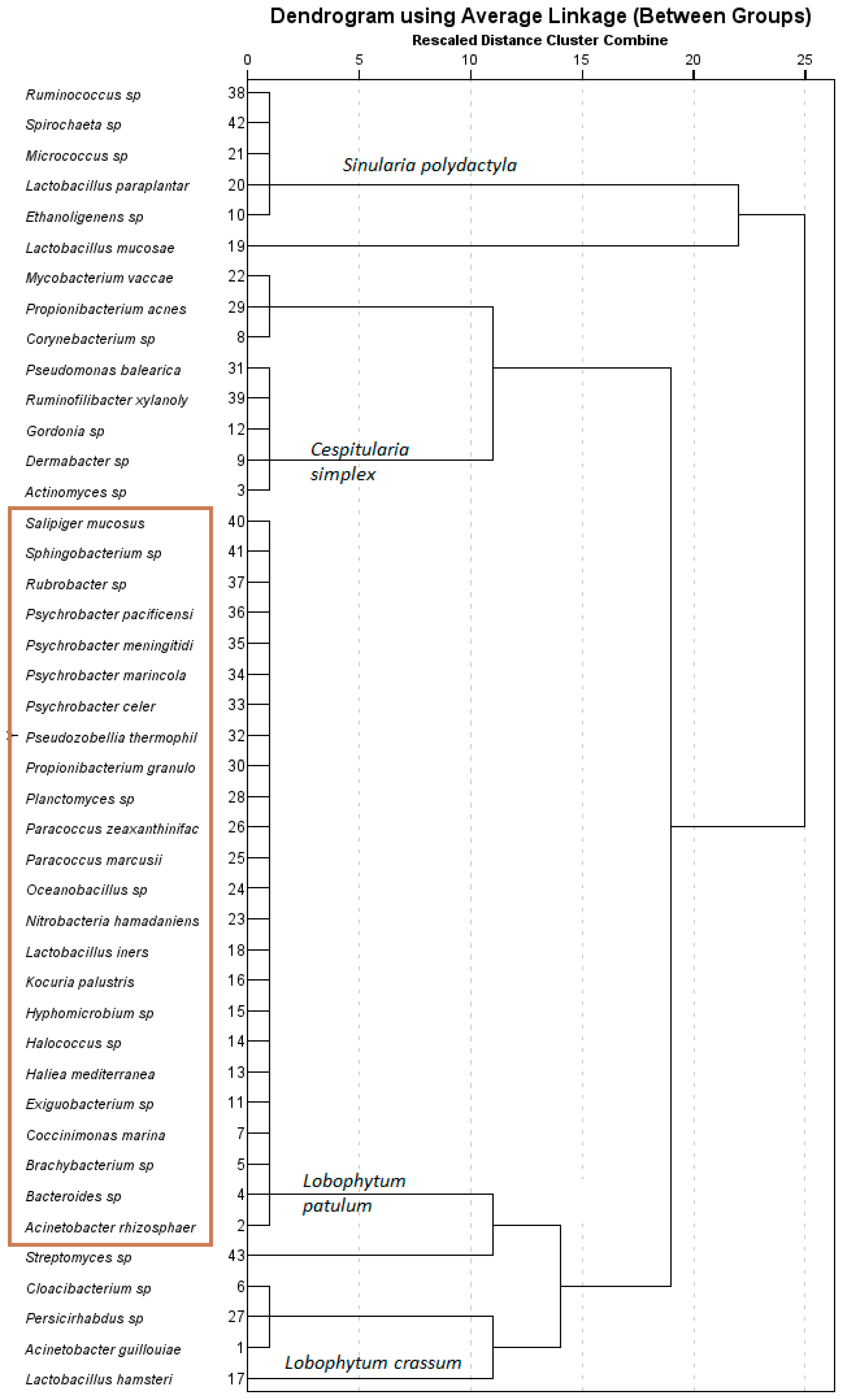 Marinedrugs 21 00574 g004