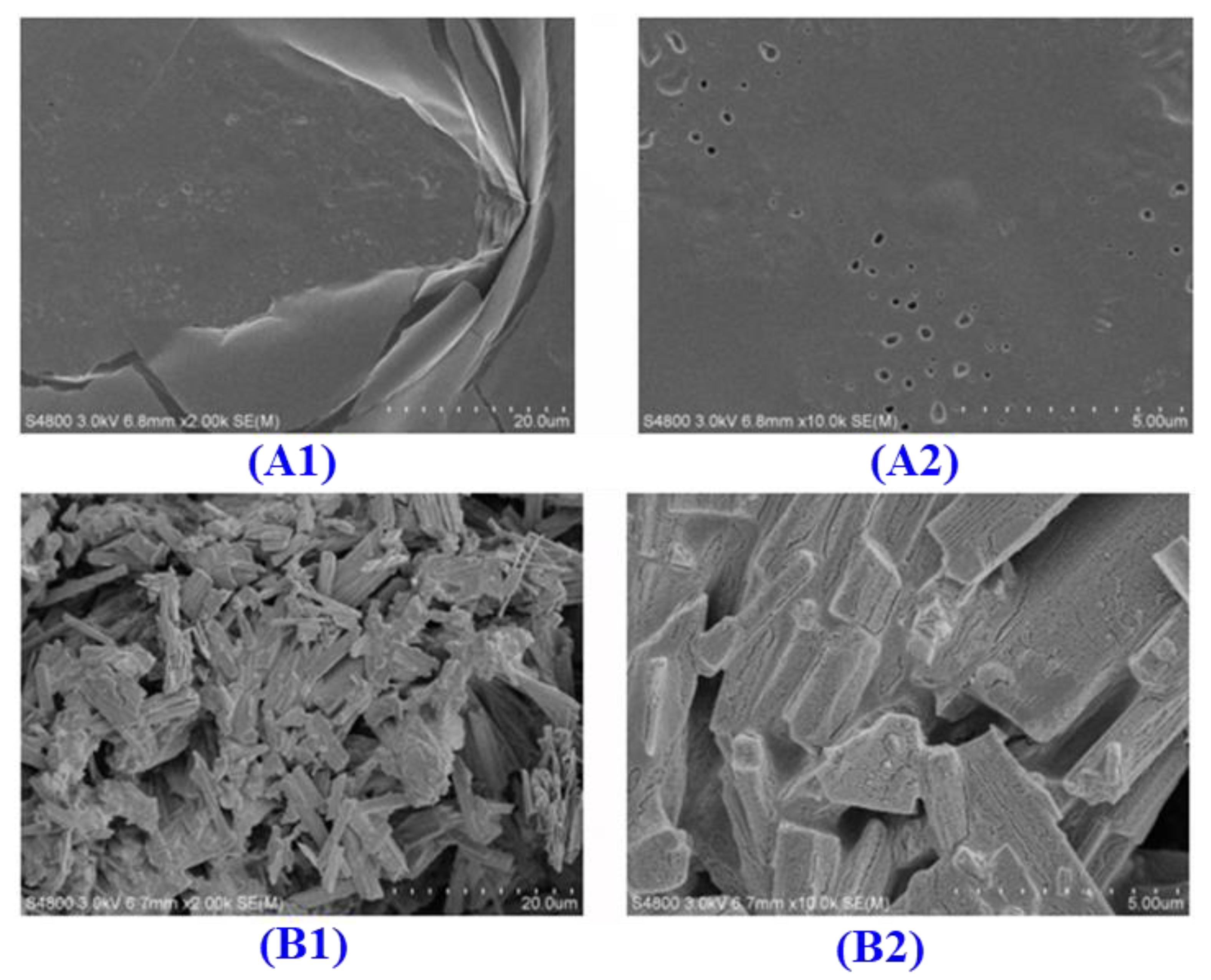 Marinedrugs 21 00579 g006