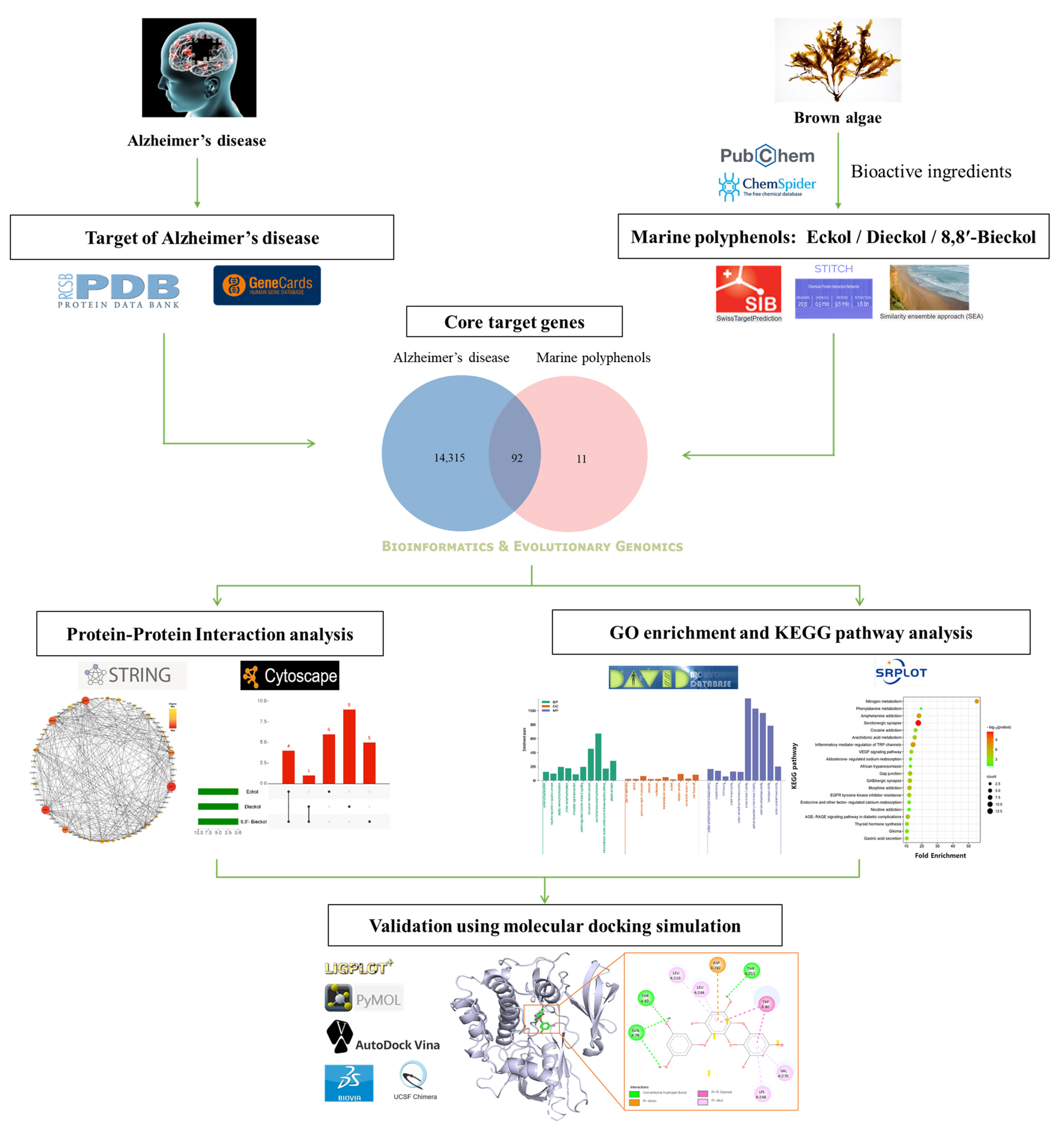 Marinedrugs 21 00580 g001