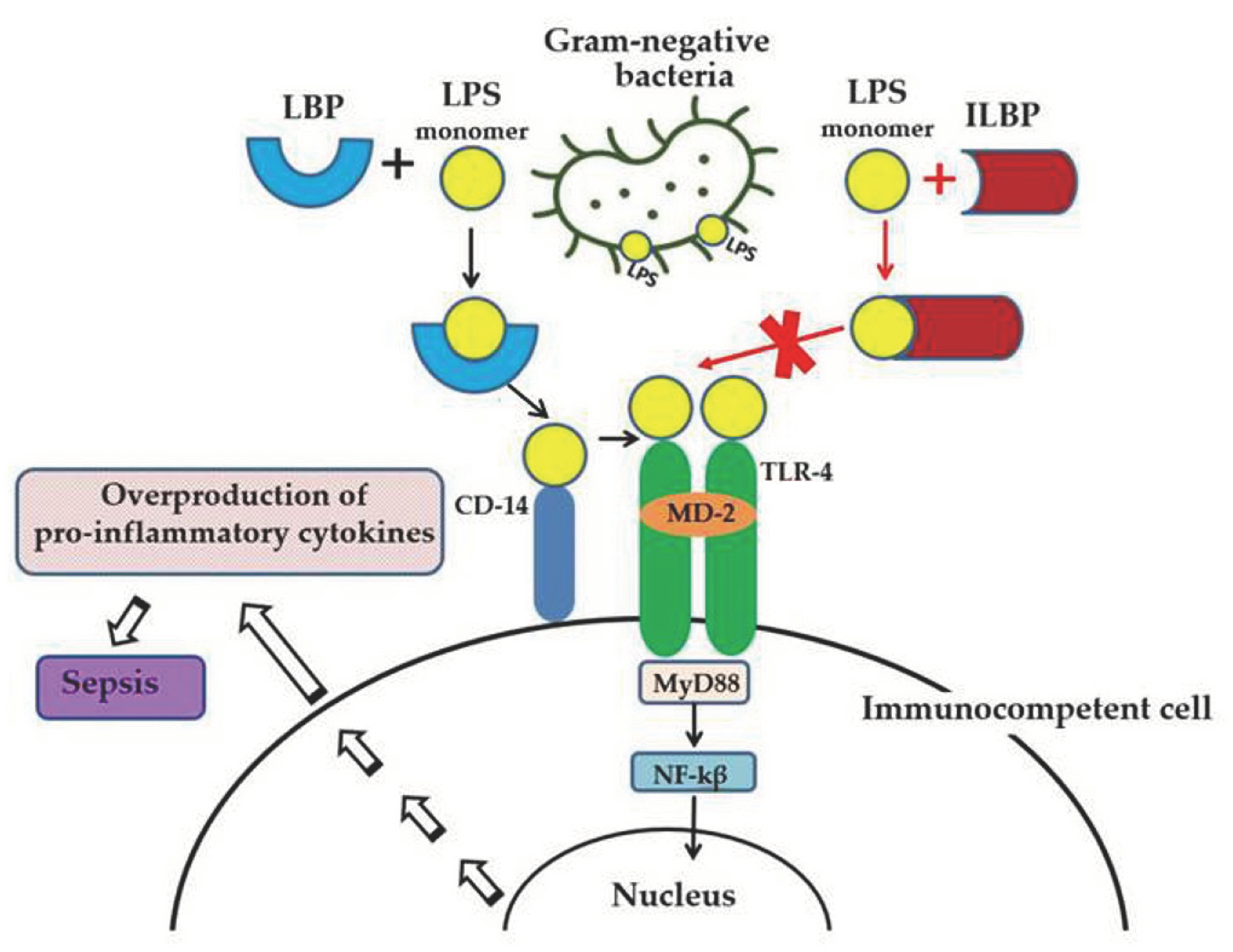 Marinedrugs 21 00581 g001