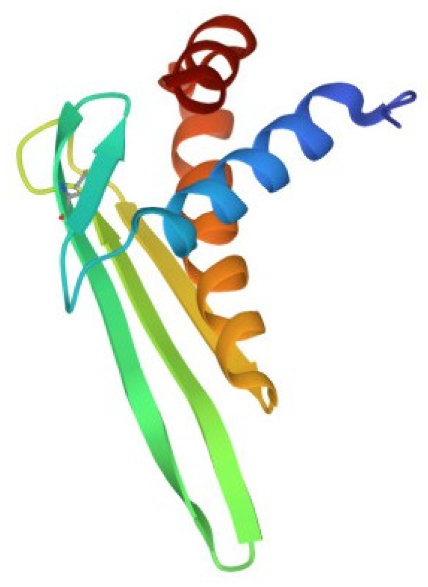 Marinedrugs 21 00581 g002