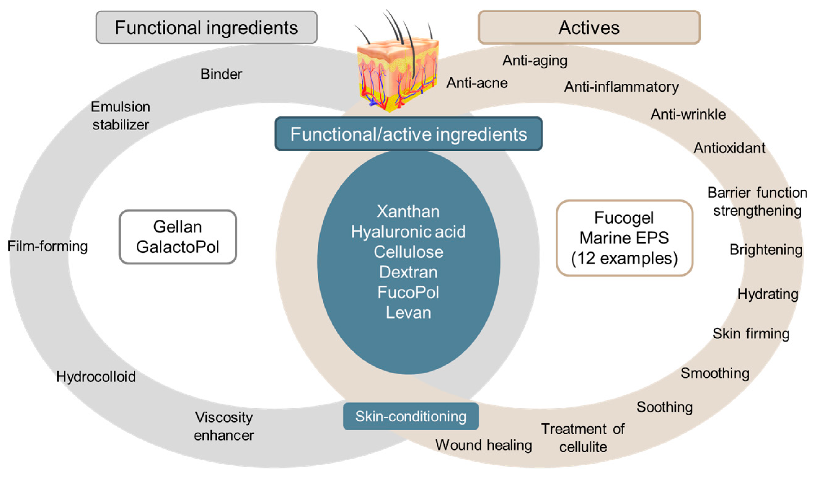 Marinedrugs 21 00582 g004