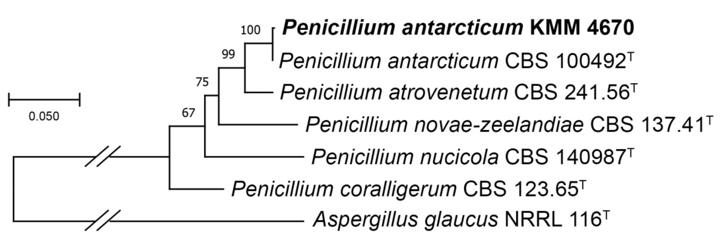 Marinedrugs 21 00584 g001
