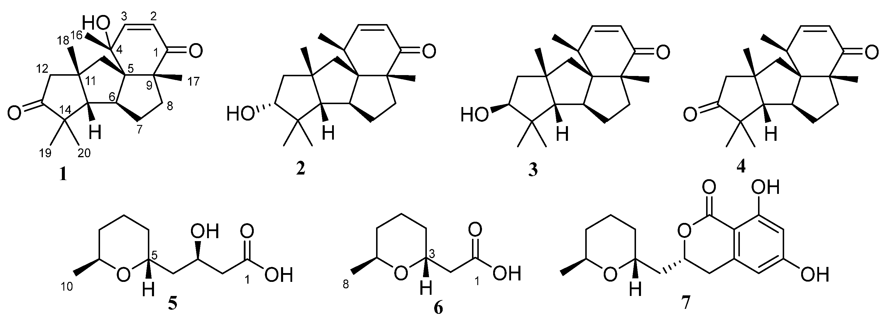 Marinedrugs 21 00584 g002