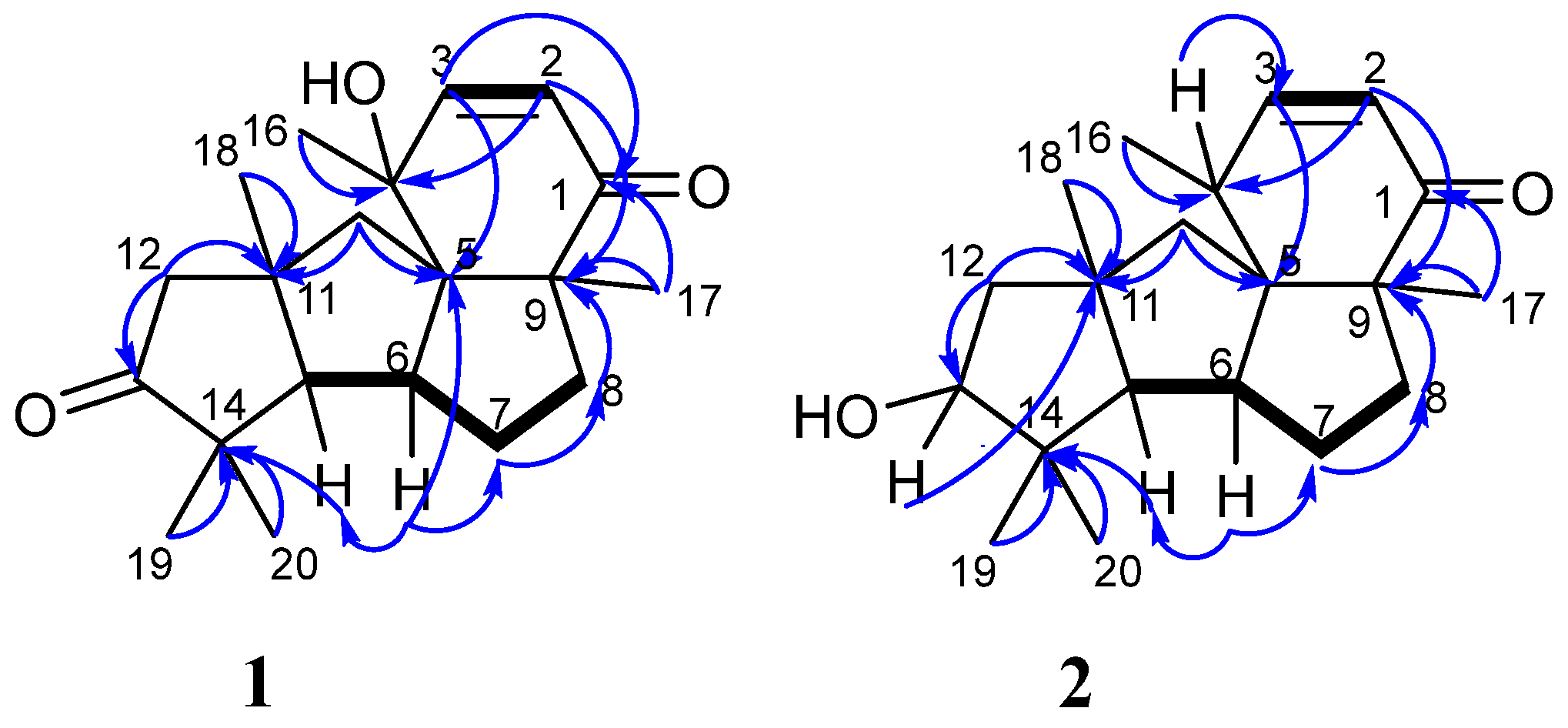 Marinedrugs 21 00584 g003