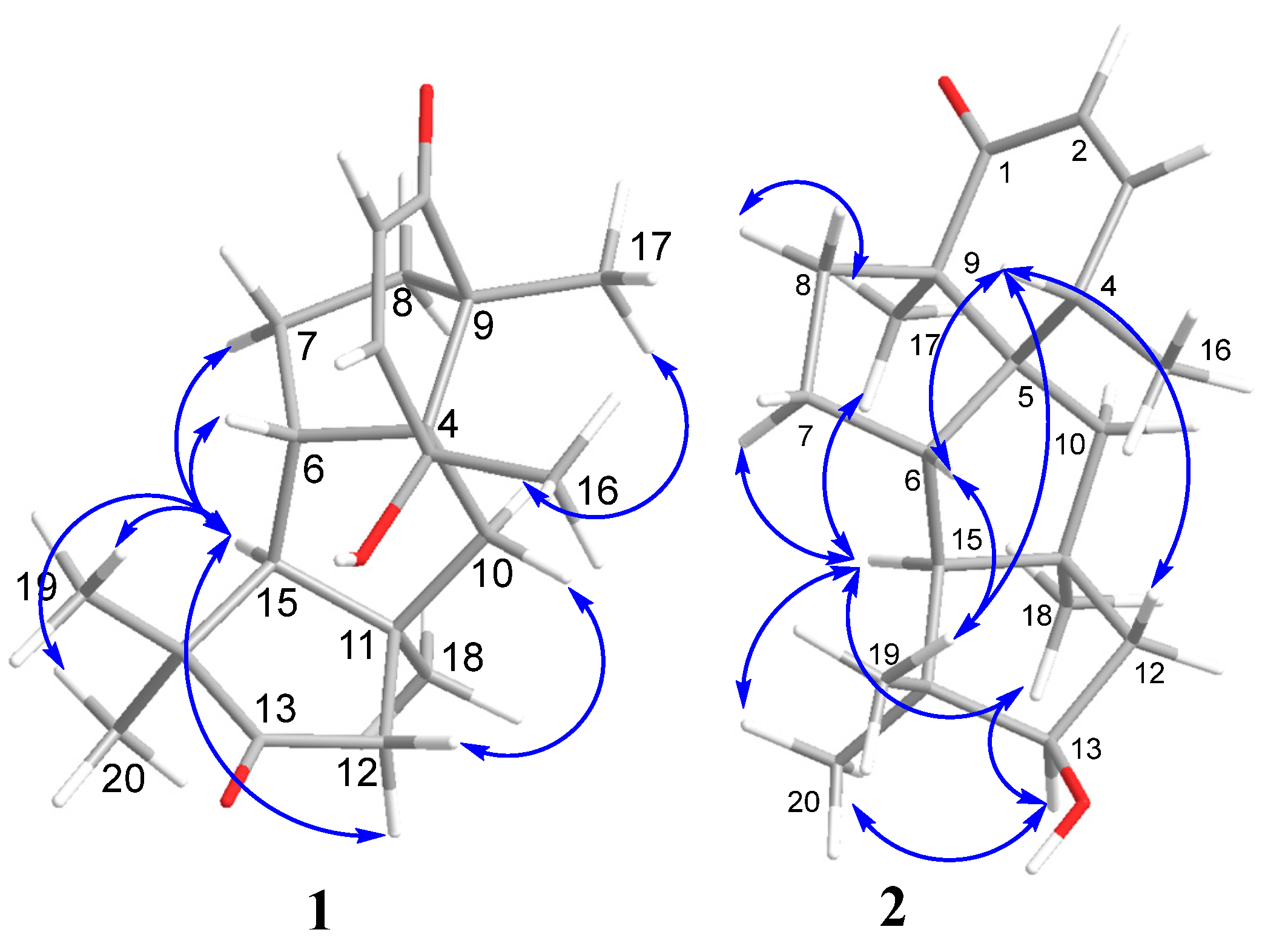 Marinedrugs 21 00584 g004