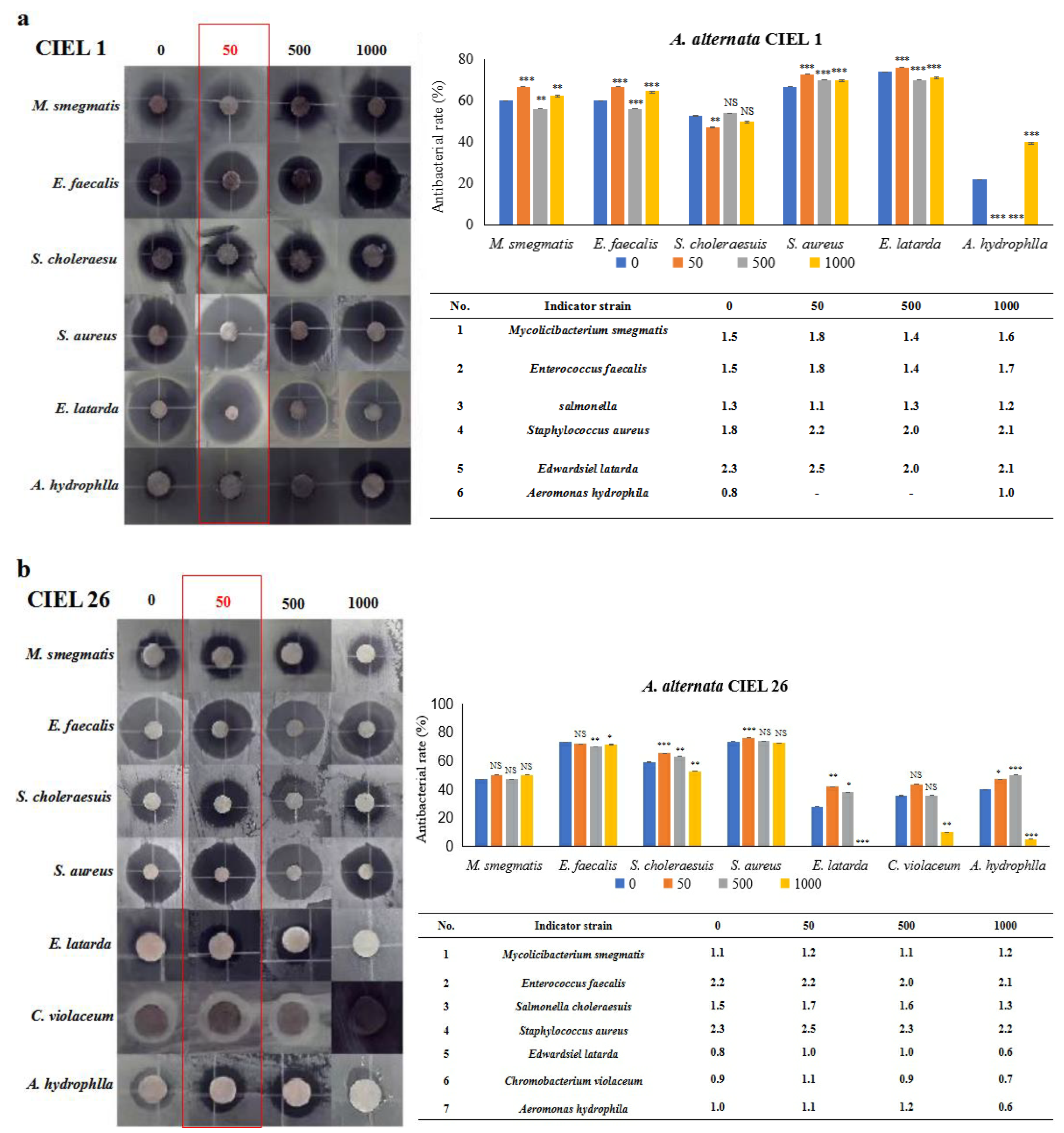 Marinedrugs 21 00585 g007