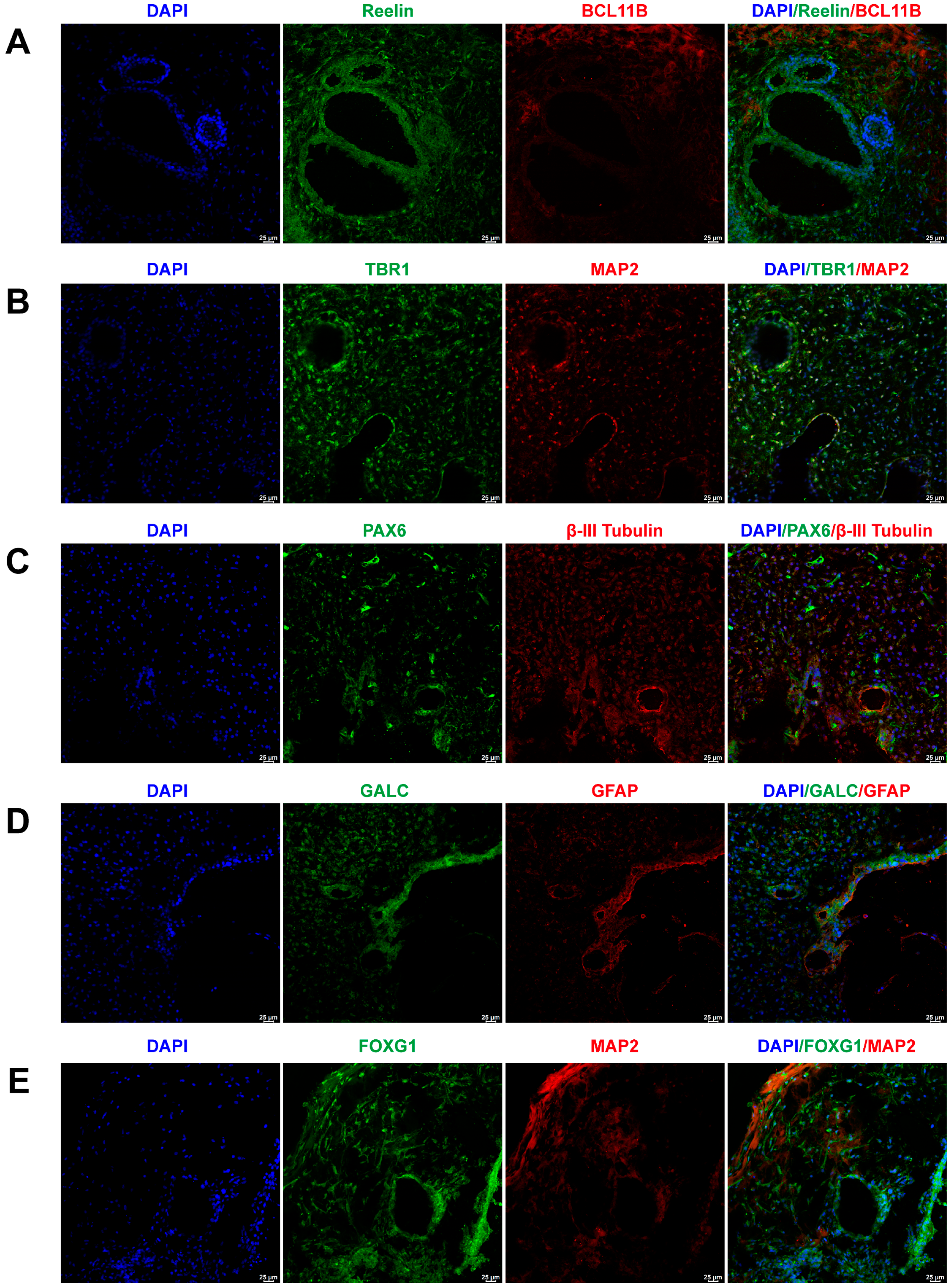 Marinedrugs 21 00588 g001