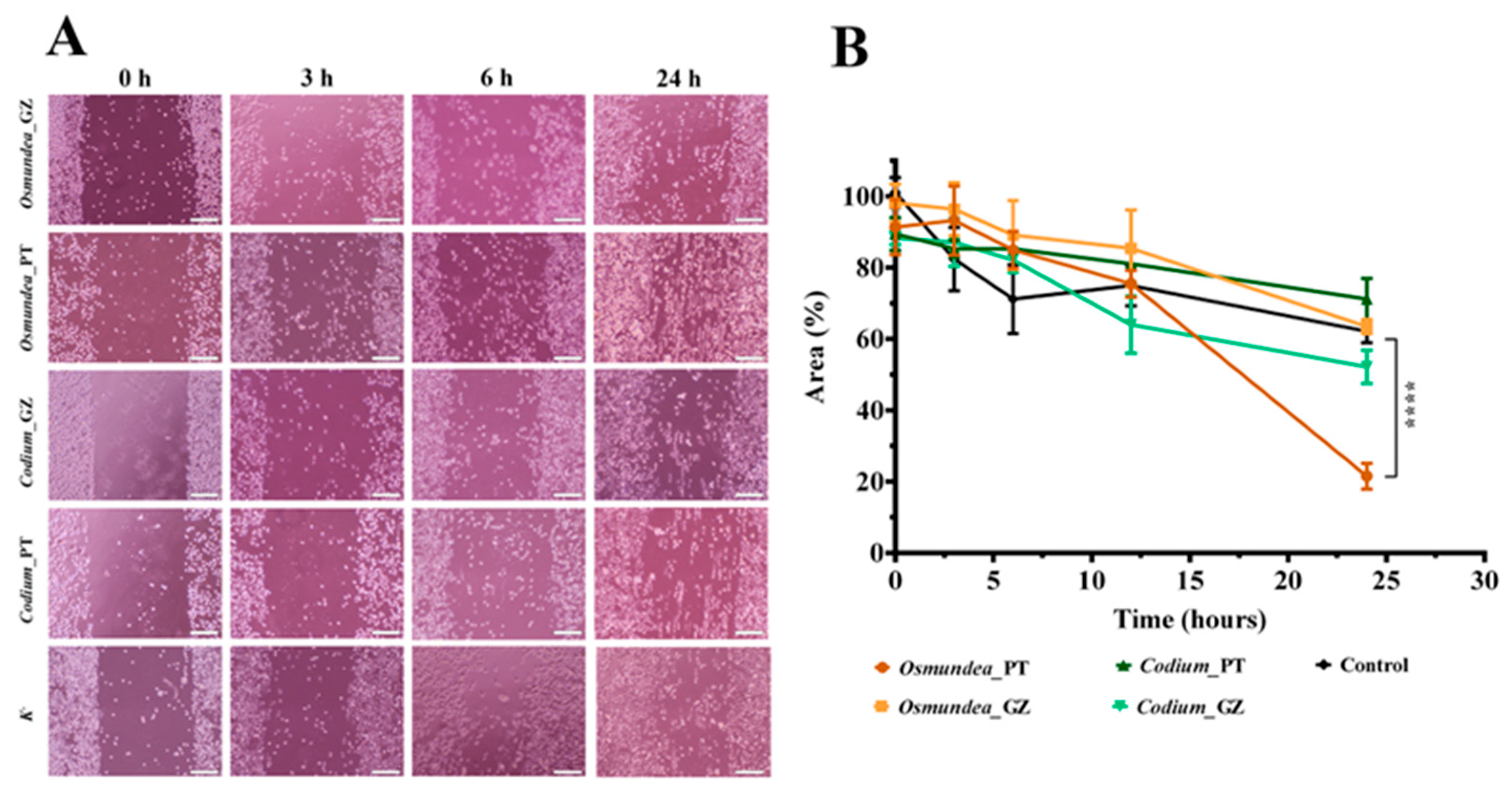 Marinedrugs 21 00589 g010