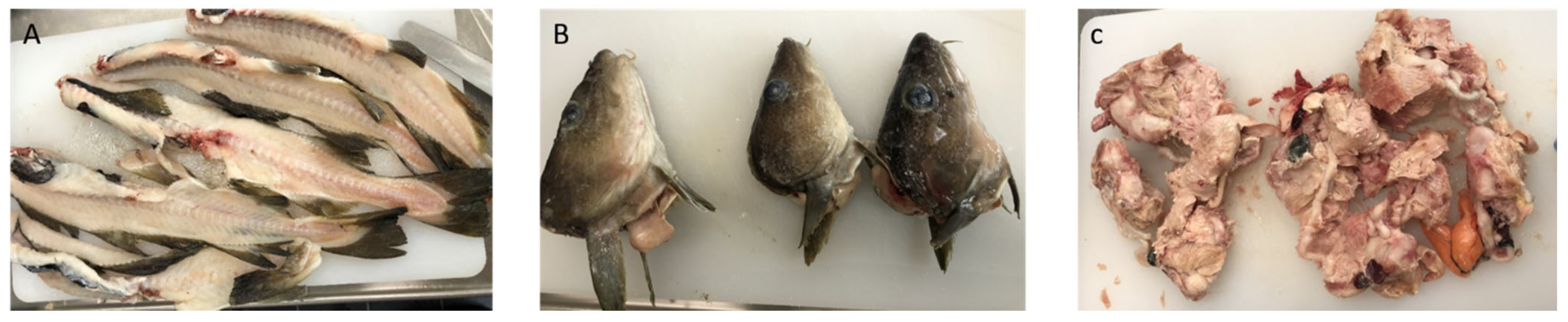 Marinedrugs 21 00591 g006