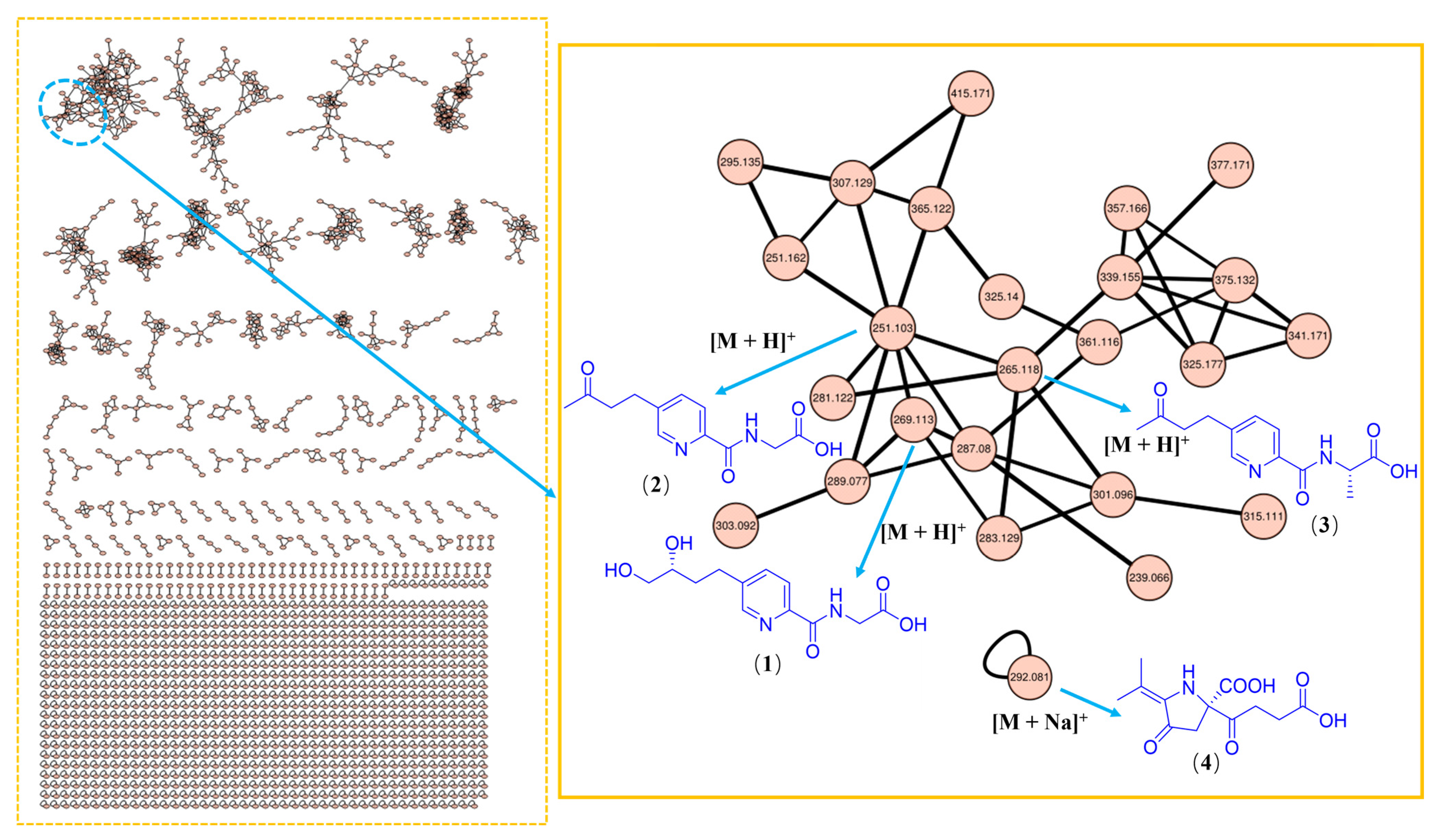 Marinedrugs 21 00596 g001