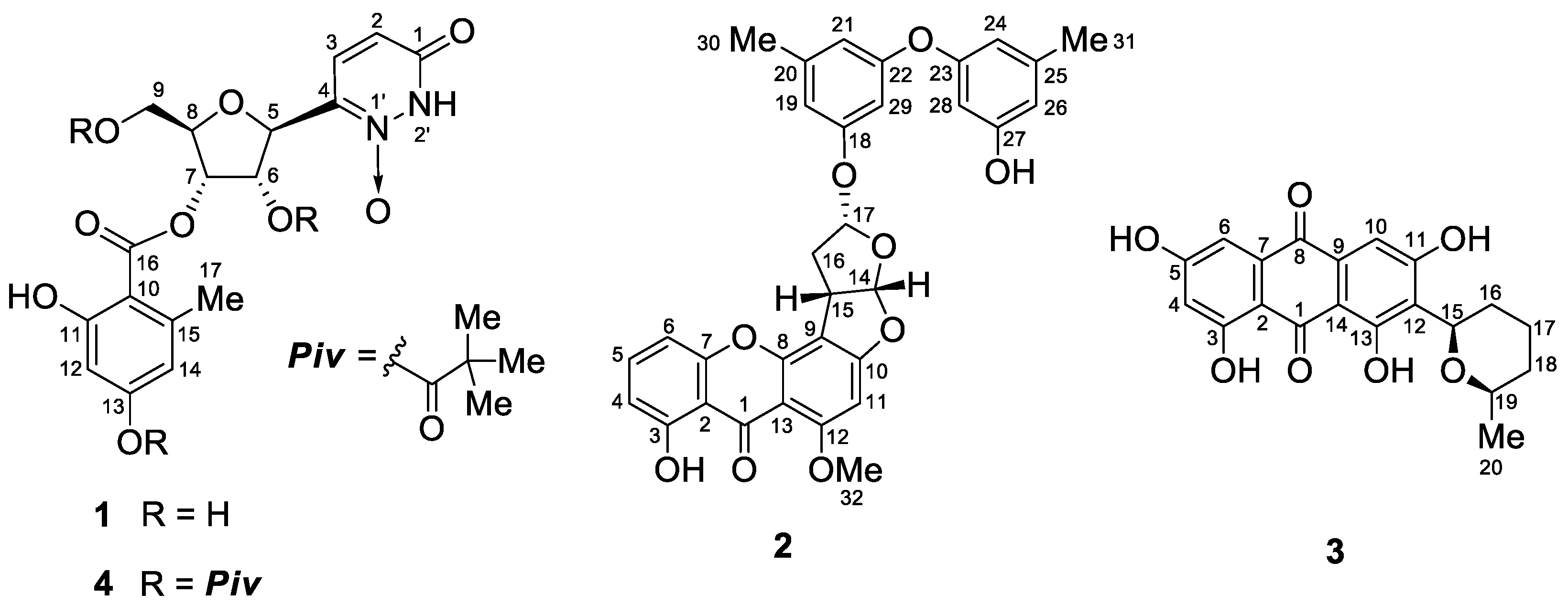 Marinedrugs 21 00598 g001