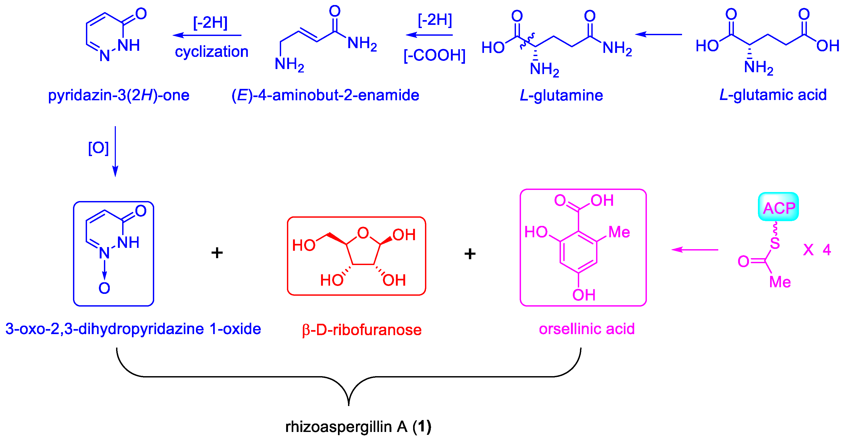 Marinedrugs 21 00598 sch001