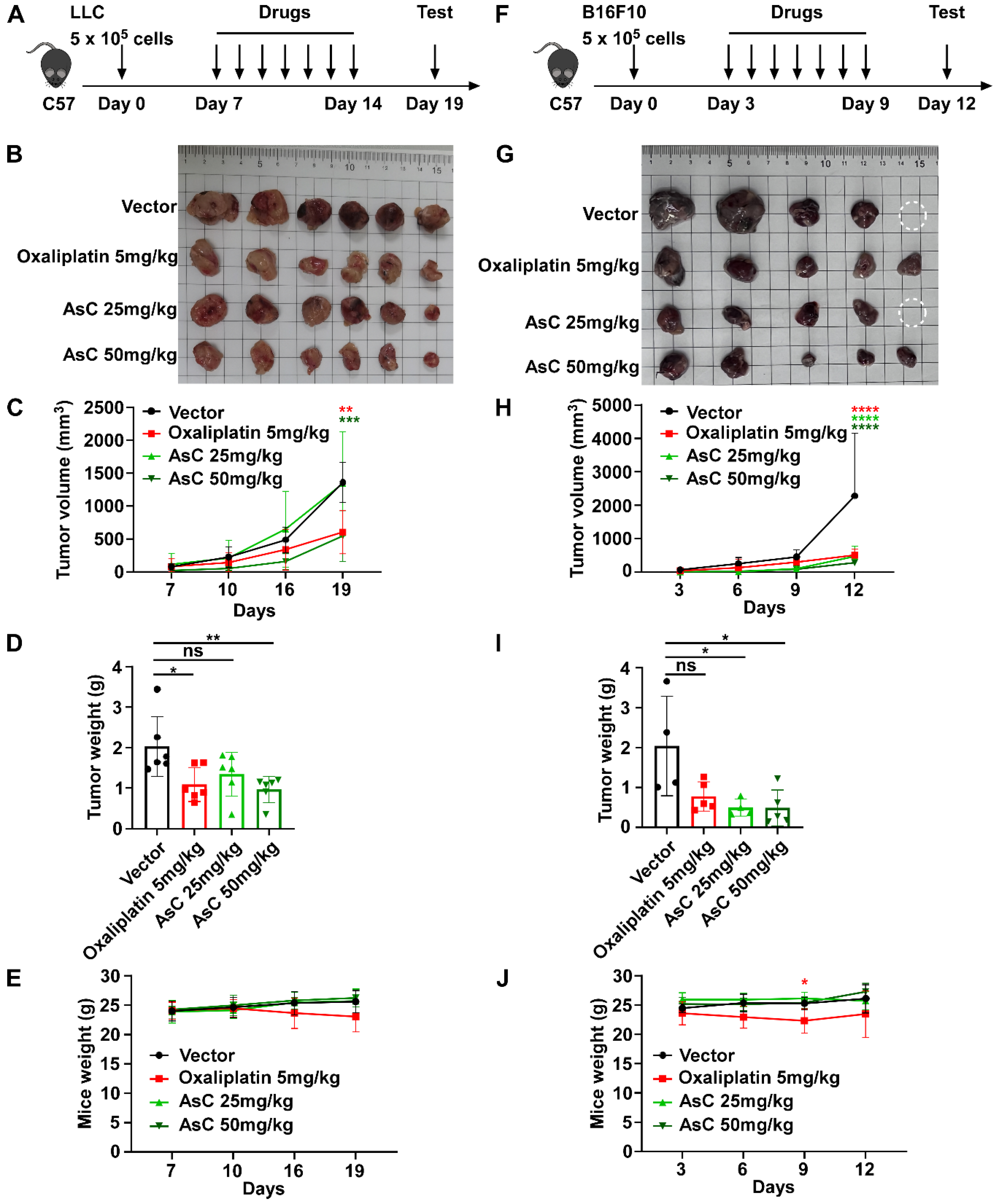 Marinedrugs 21 00600 g002