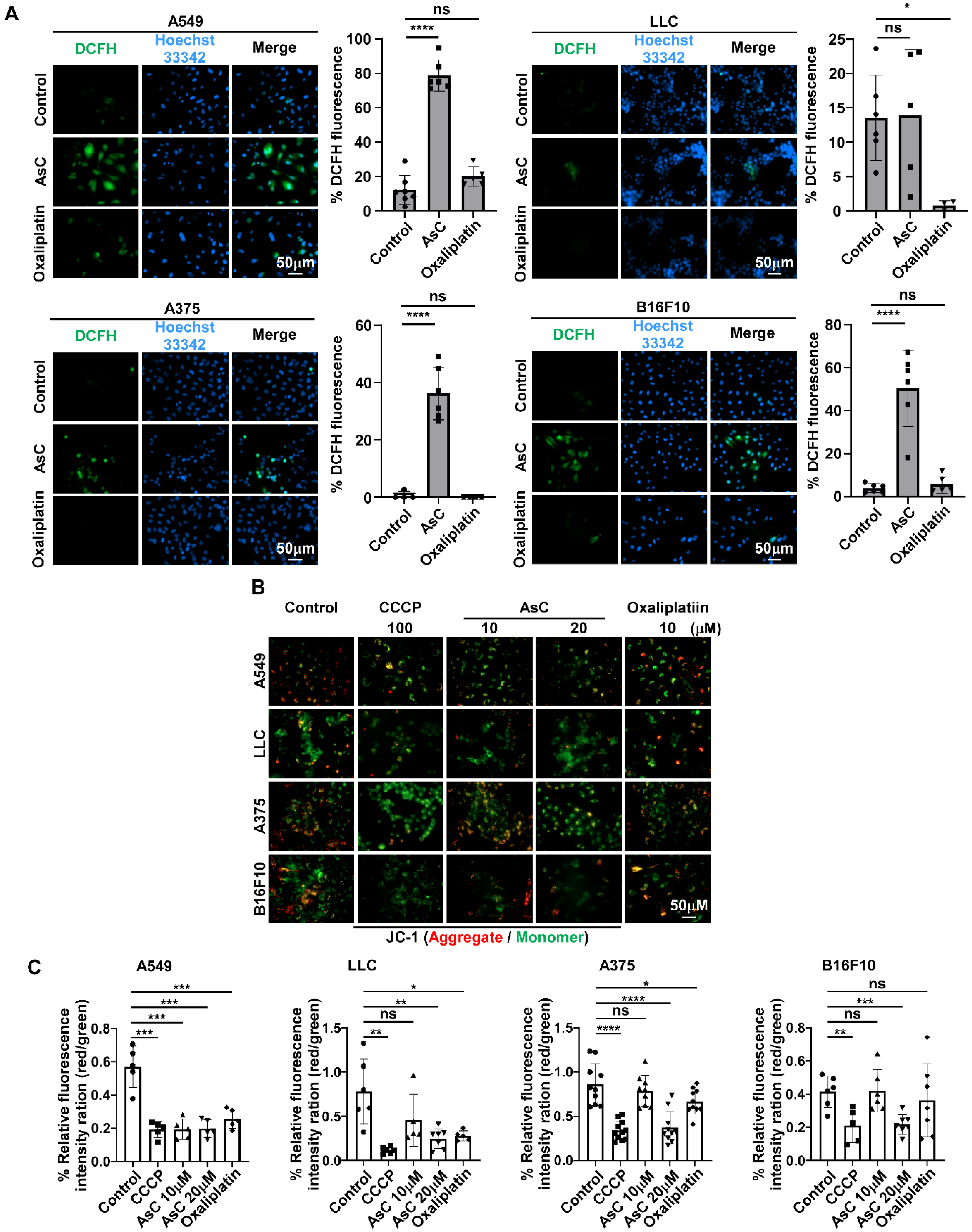 Marinedrugs 21 00600 g004
