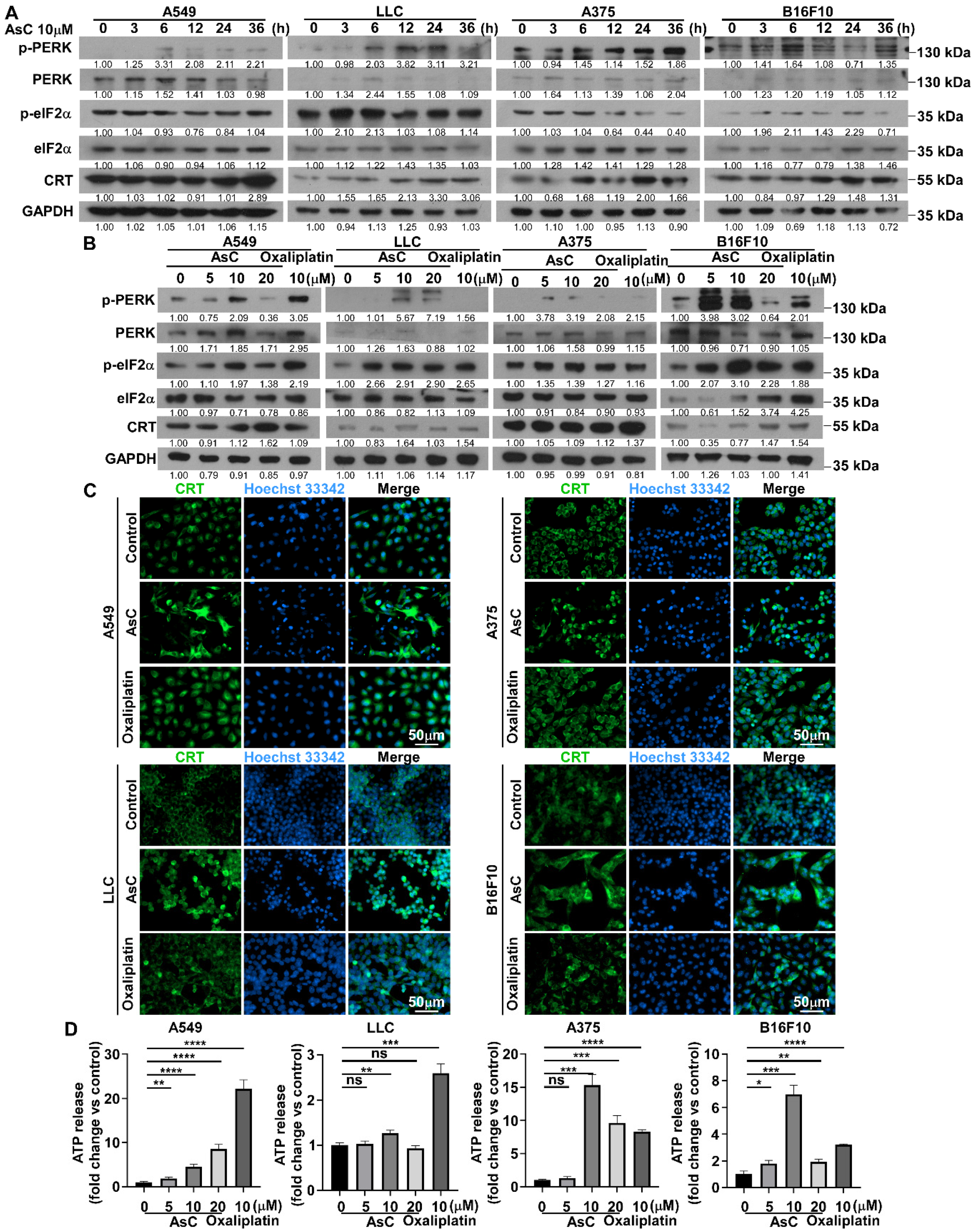 Marinedrugs 21 00600 g005