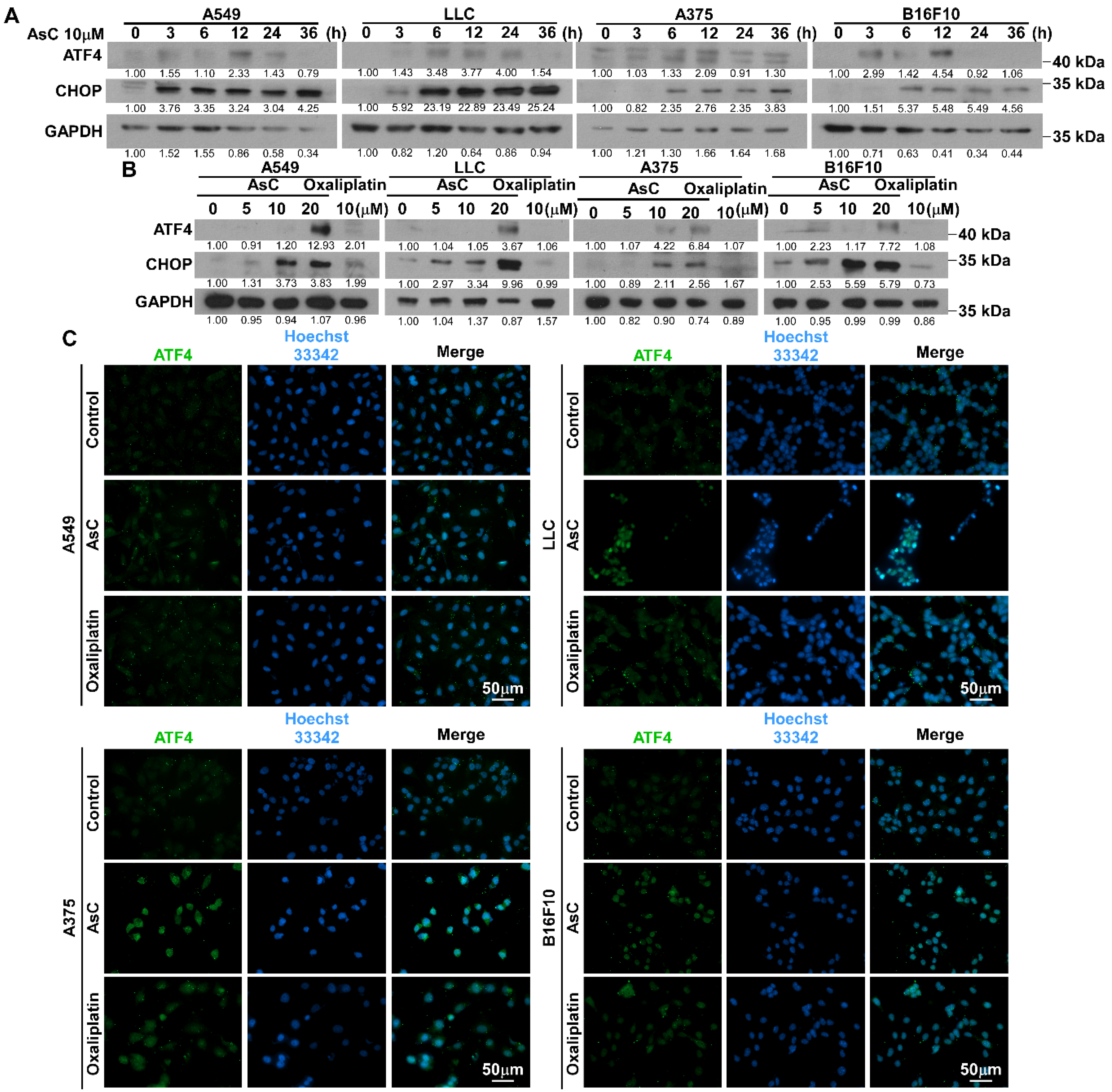 Marinedrugs 21 00600 g006